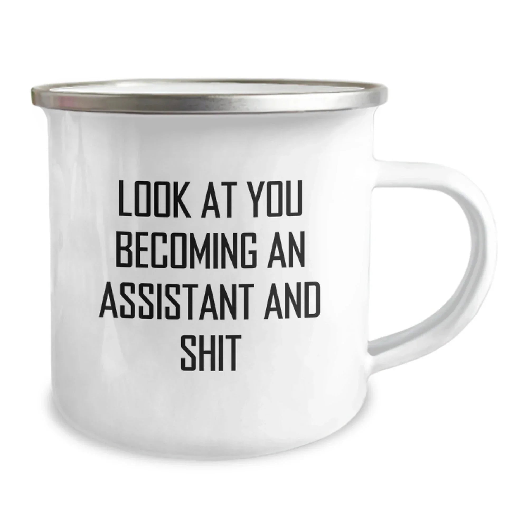 Funny Assistant Gifts from Friends for Assistant Men, Unique Christmas Unique Gifts, Camping Mug for Assistant, Look At You Becoming An Assistant And Shit