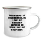 Funny Computer Programmer Gifts from Friends for Men - I'm A Computer Programmer Mug, Christmas Unique Gifts, Camping Mug