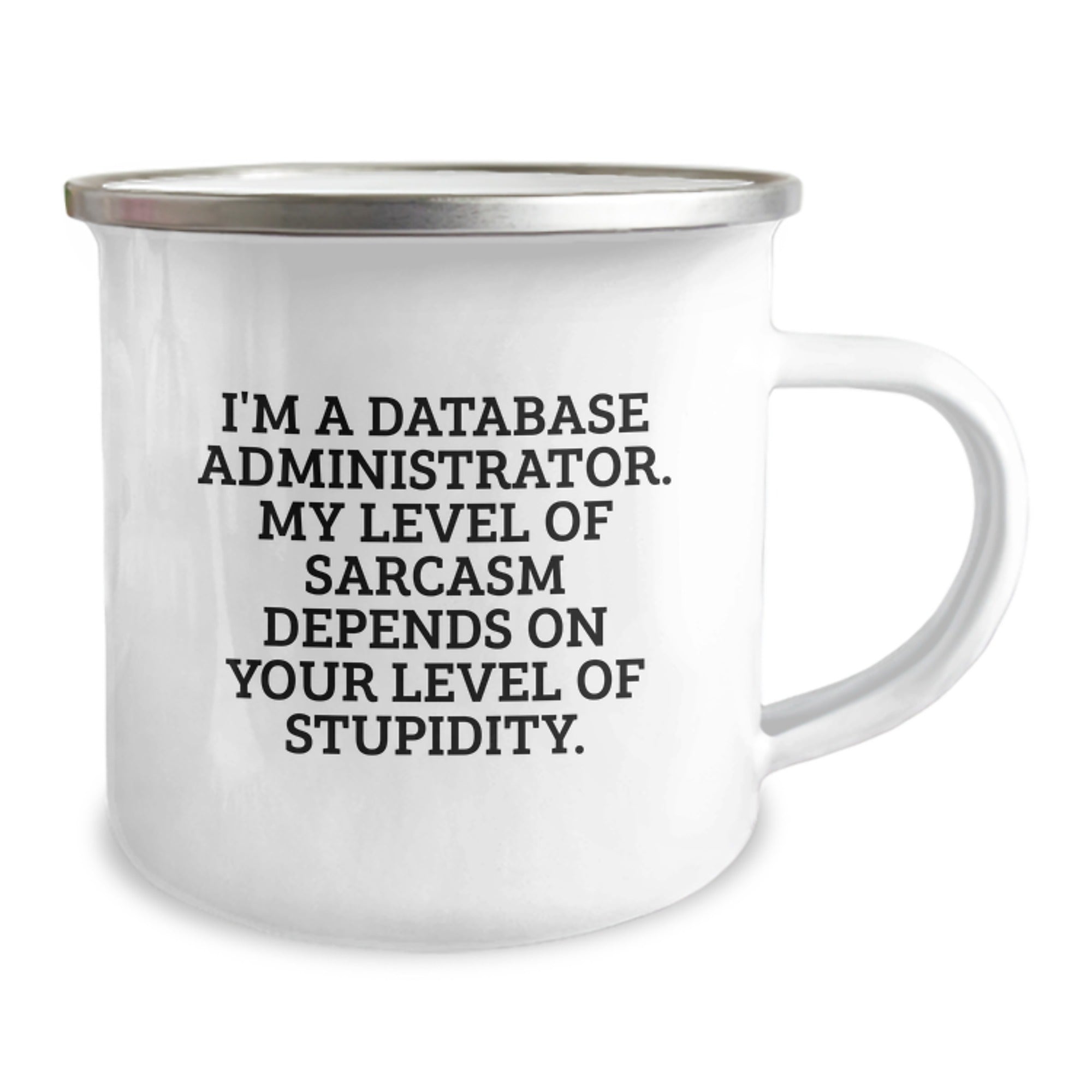 Database Administrator Funny Quote Gifts from Men to Friends, Unique Valentine's Unique Gifts for Database Administrator, Camping Mug, Funny Quote About Stupidity