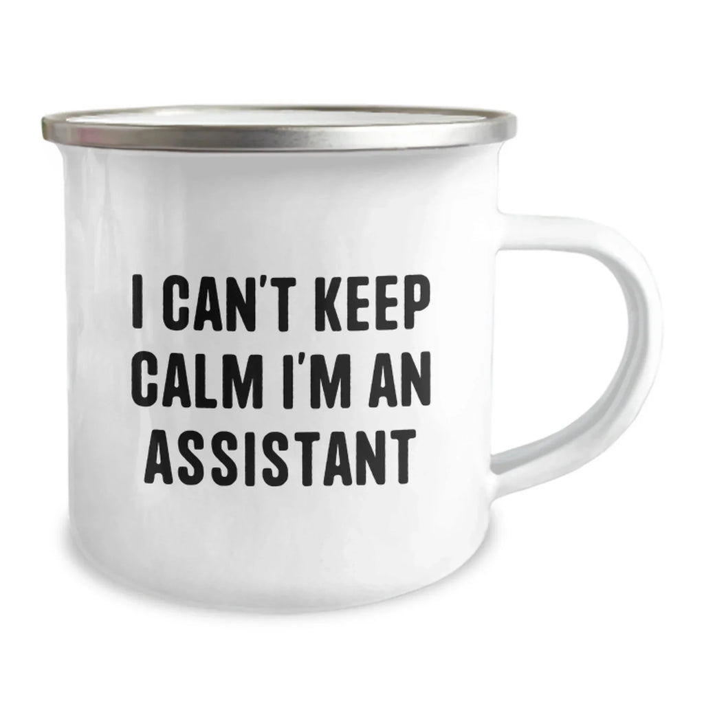 Funny Assistant Gifts for Men, Unique Christmas Unique Gifts from Men to Assistant, Camping Mug I Can't Keep Calm I'm An Assistant