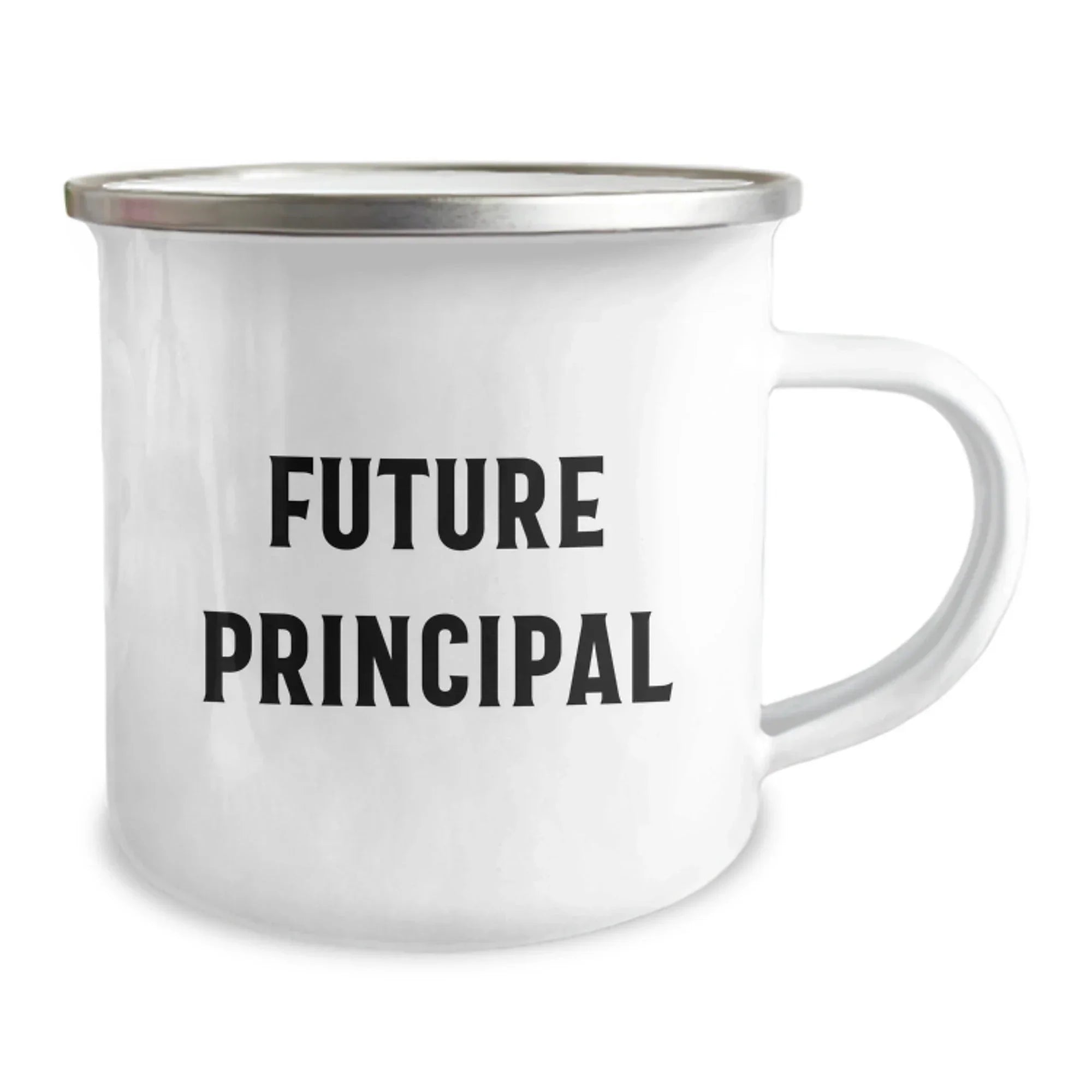 Funny Principal Camping Mug, Gifts from Friends to Future Principals, Birthday Unique Gifts for Men, Women, Coworkers, Family