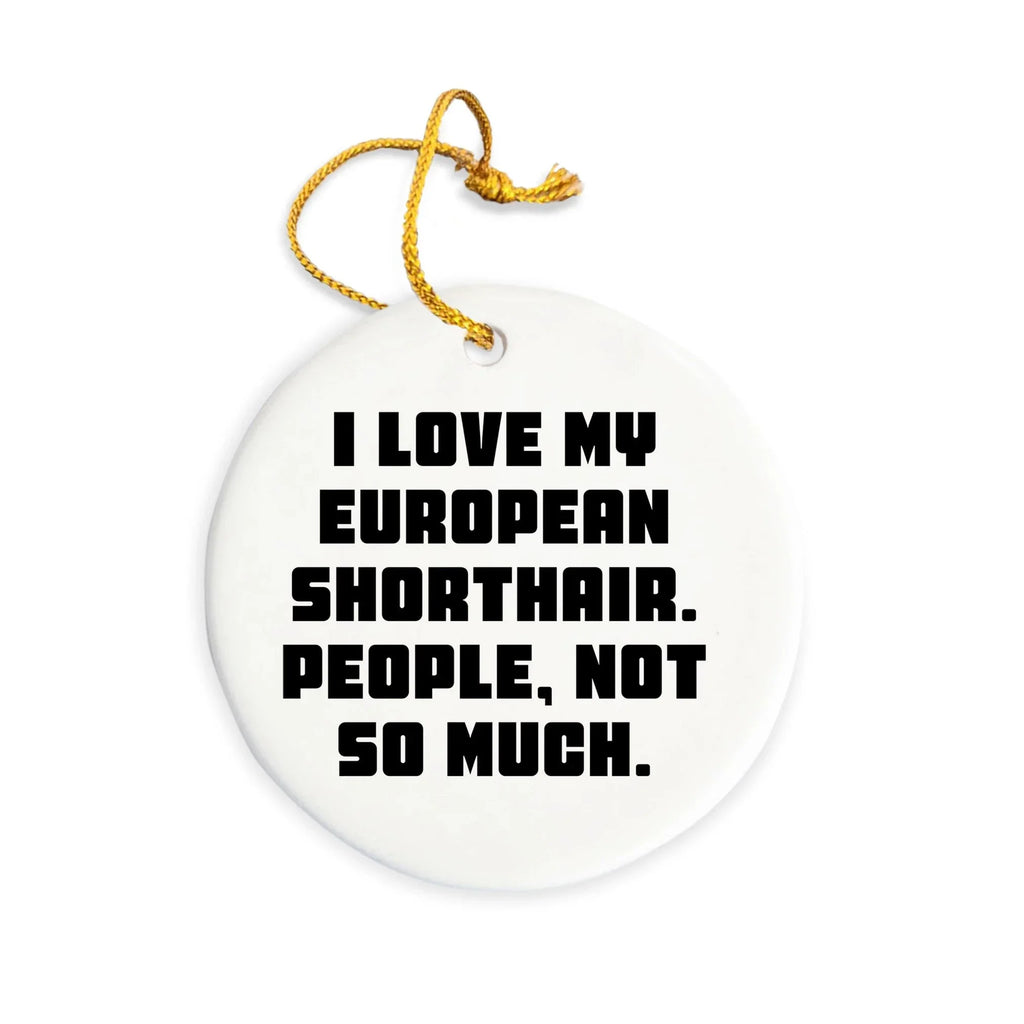 I Love My European Shorthair Cat Gifts from Friends for Christmas Unique Circle Ornaments