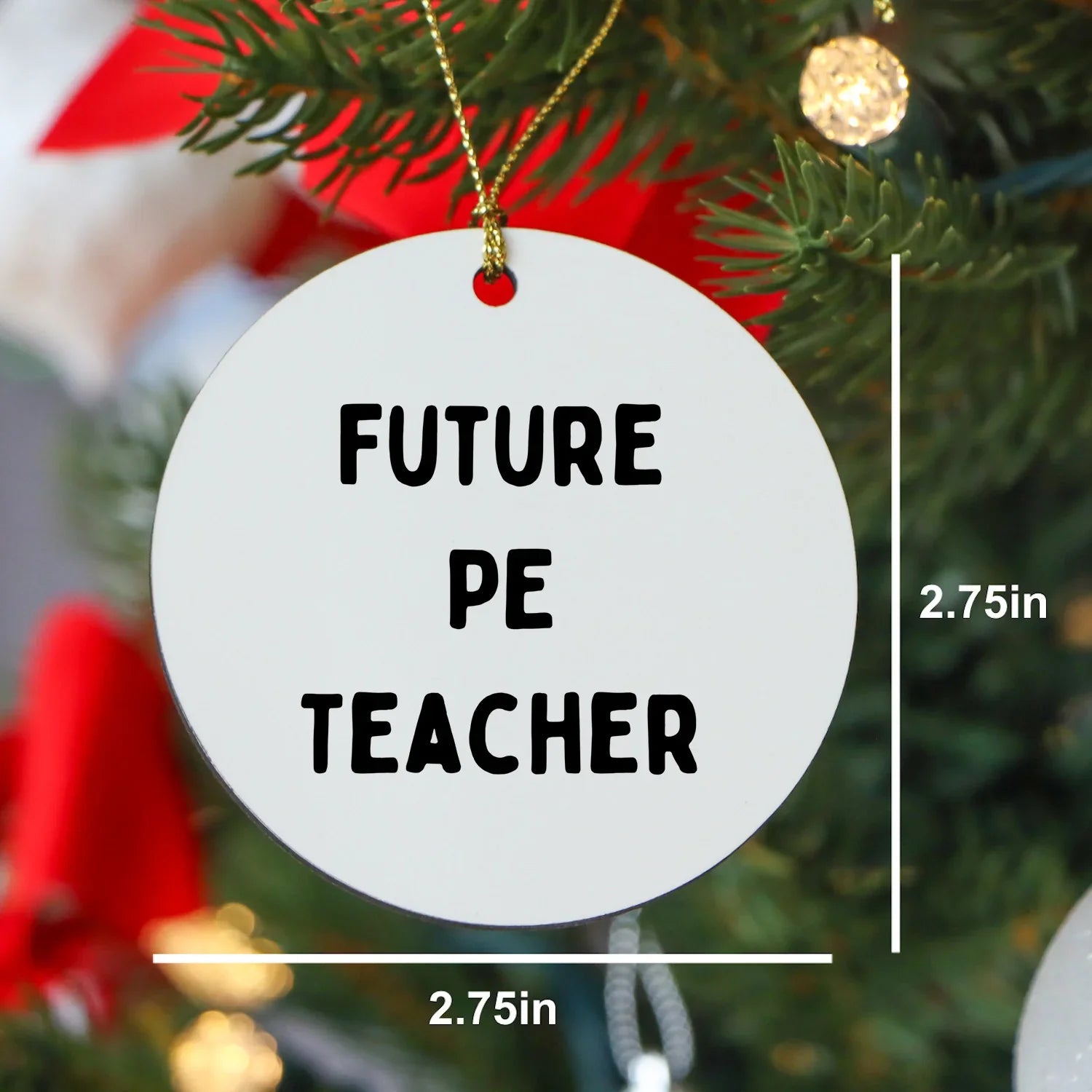 Funny Inspirational PE Teacher Circle Christmas Ornament, 'Future PE Teacher' Gifts