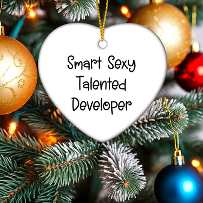 Smart Sexy Talented Developer Gifts, Heart Ornament with Funny Quote, Christmas Unique Gifts from Friends, Gifts for Developer