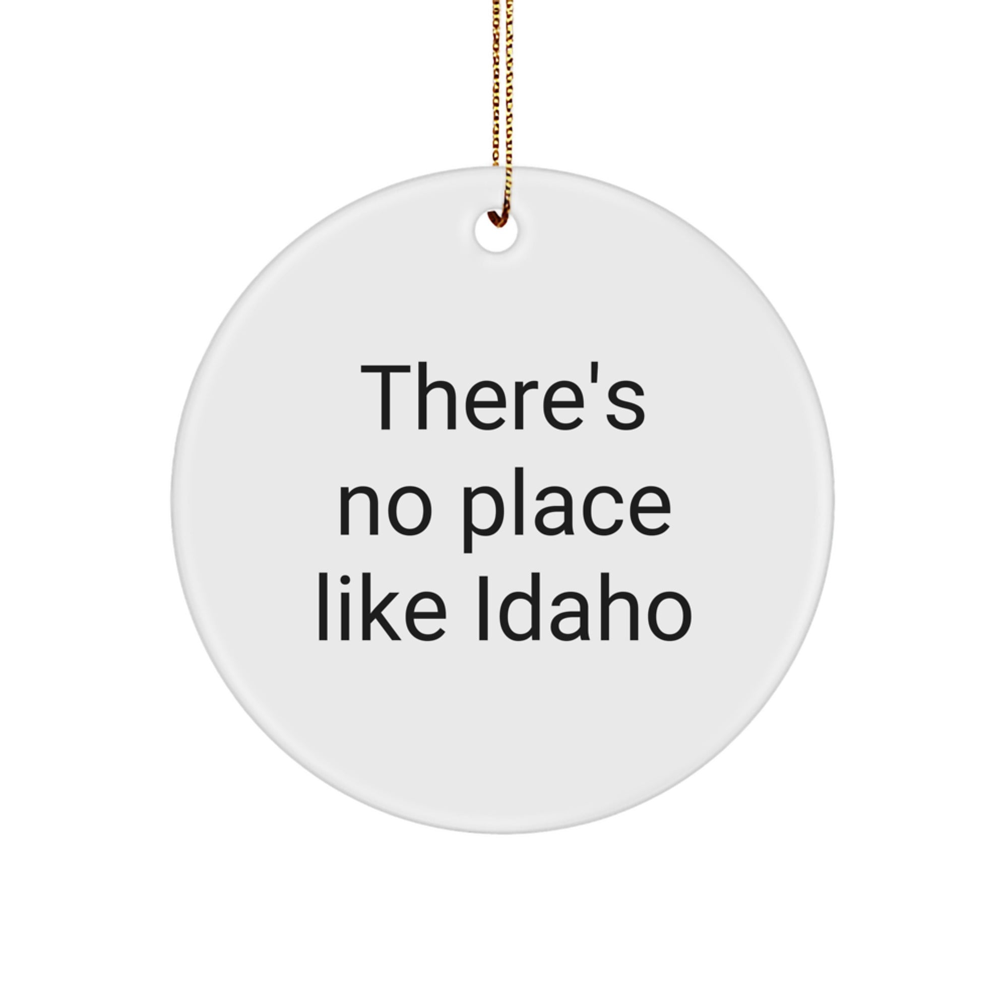 Funny Idaho Christmas Circle Ornament Gifts from Family to Idaho Lovers, 'There's No Place Like Idaho' Circle Ornament for Men, Women, Friends, and Coworkers - Image 1
