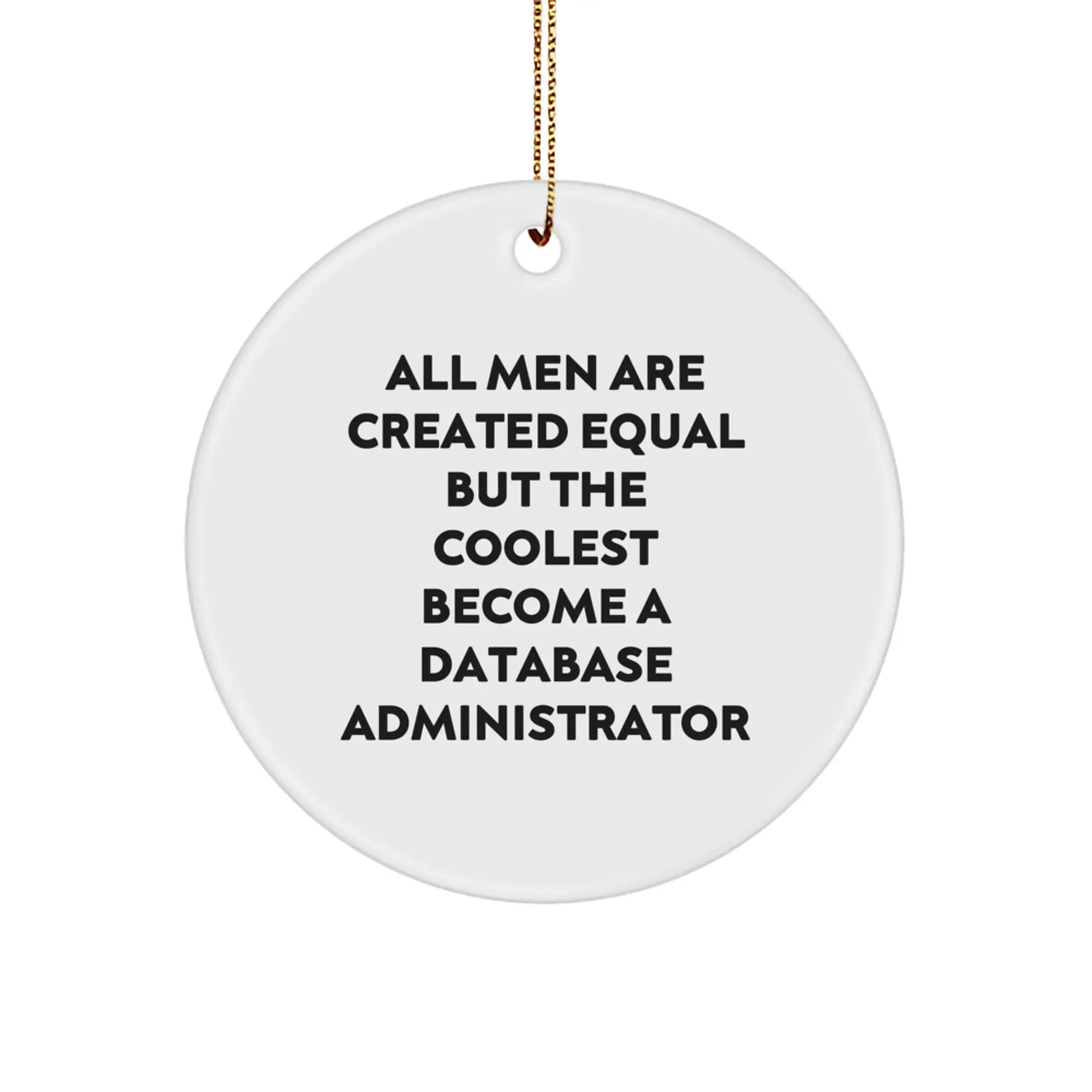 Database Administrator Circle Ornament Memento for Teens Christmas Gift - Image 1