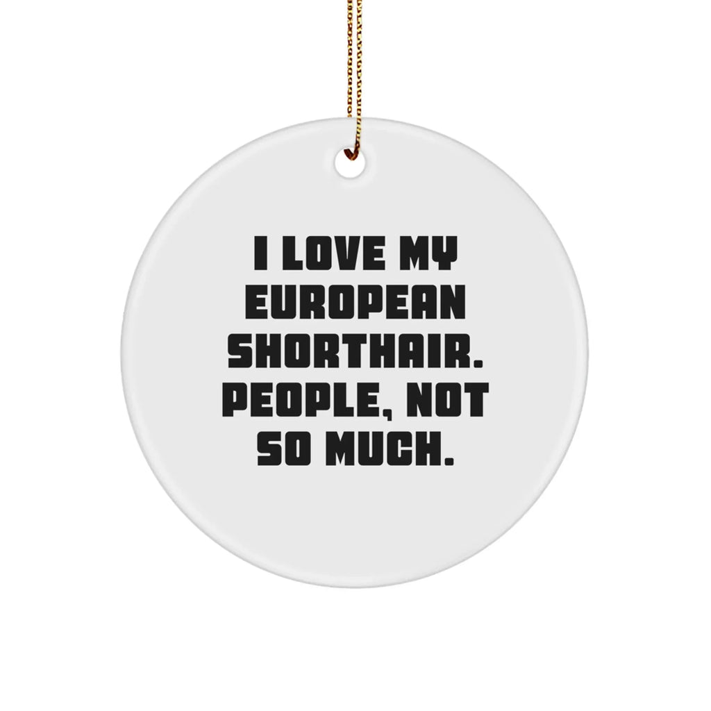 I Love My European Shorthair Cat Gifts from Friends for Christmas Unique Circle Ornaments