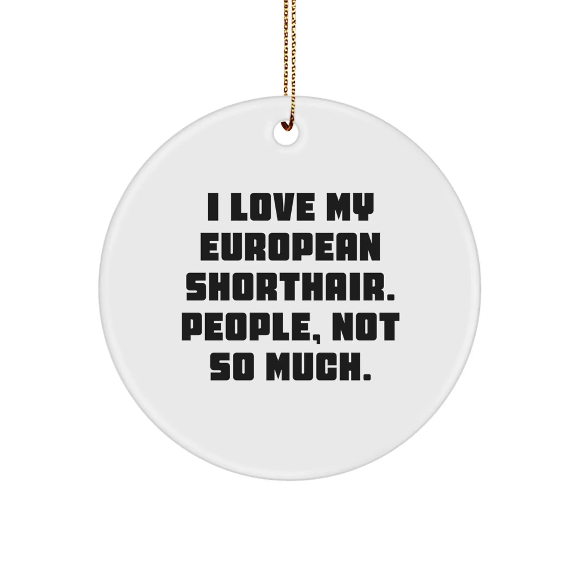 I Love My European Shorthair Cat Gifts from Friends for Christmas Unique Circle Ornaments