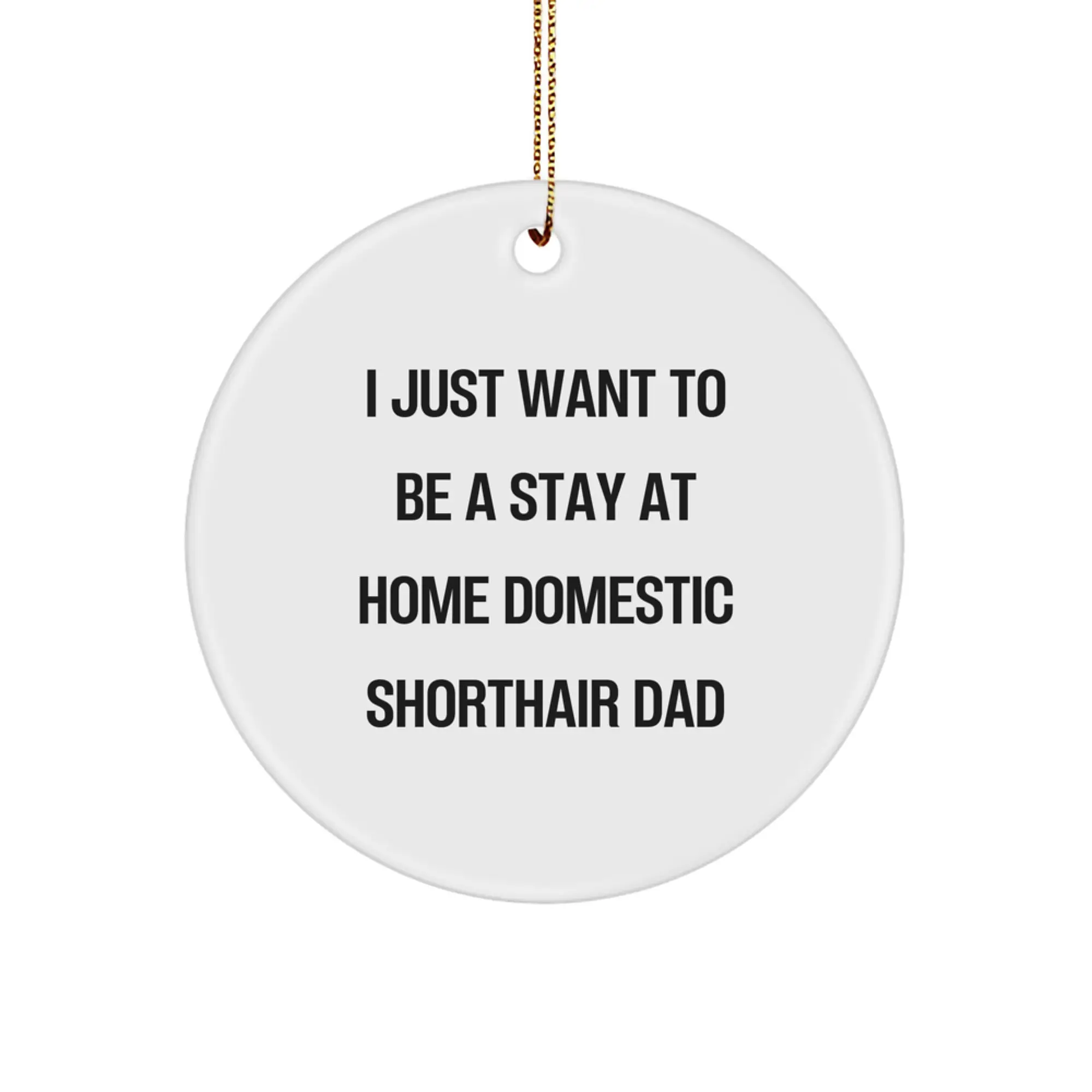 Funny Domestic Shorthair Cat Gifts from Men to Friends, 'I Just Want To Be A Stay At Home Domestic Shair Dad' Circle Ornament for Christmas Unique Gifts - Image 1