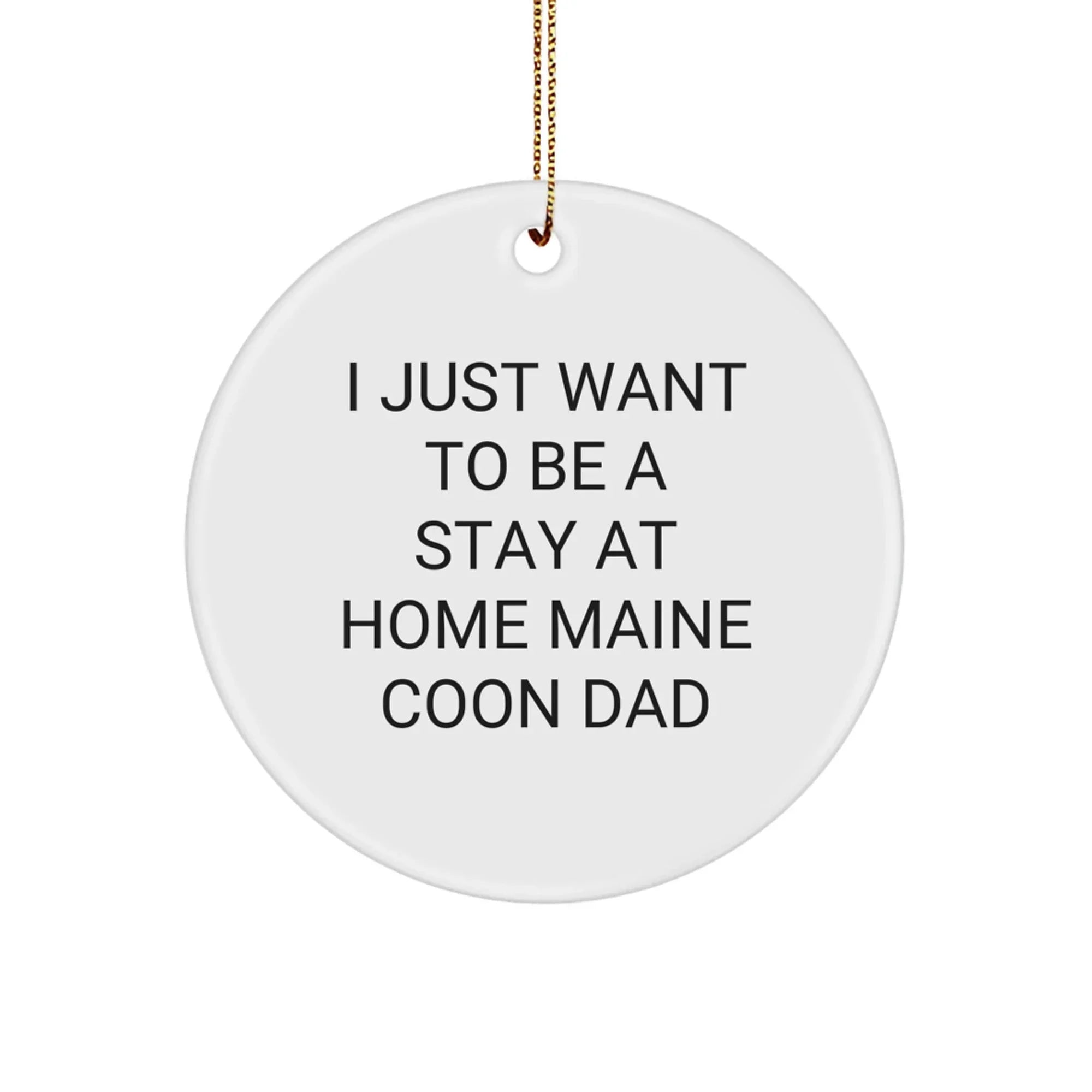 Funny Maine Coon Cat Lover Gifts from Dad for Maine Coon Cat Dad at Christmas Unique Gifts for Him