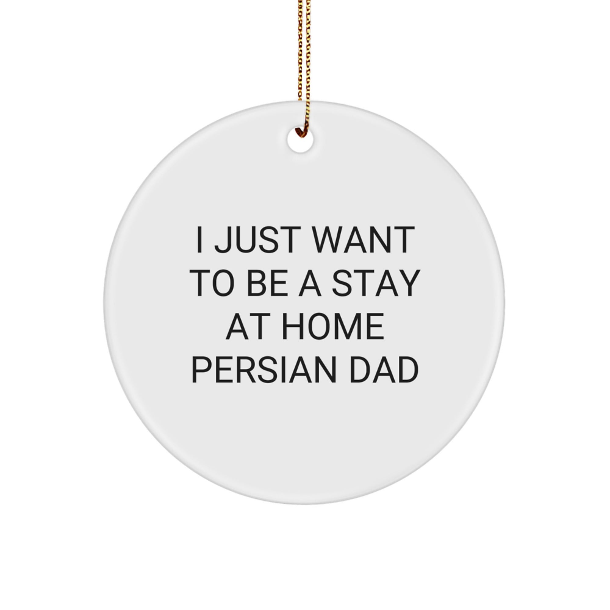 Funny Persian Cat Circle Ornament Gifts from Men to Family for Christmas - Image 1