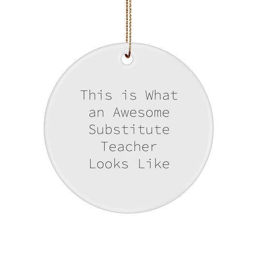 Funny Substitute Teacher Gifts - This Is What An Awesome Circle Ornament Looks Like, Gifts from Friends, for Substitute Teachers at Christmas - Image 1