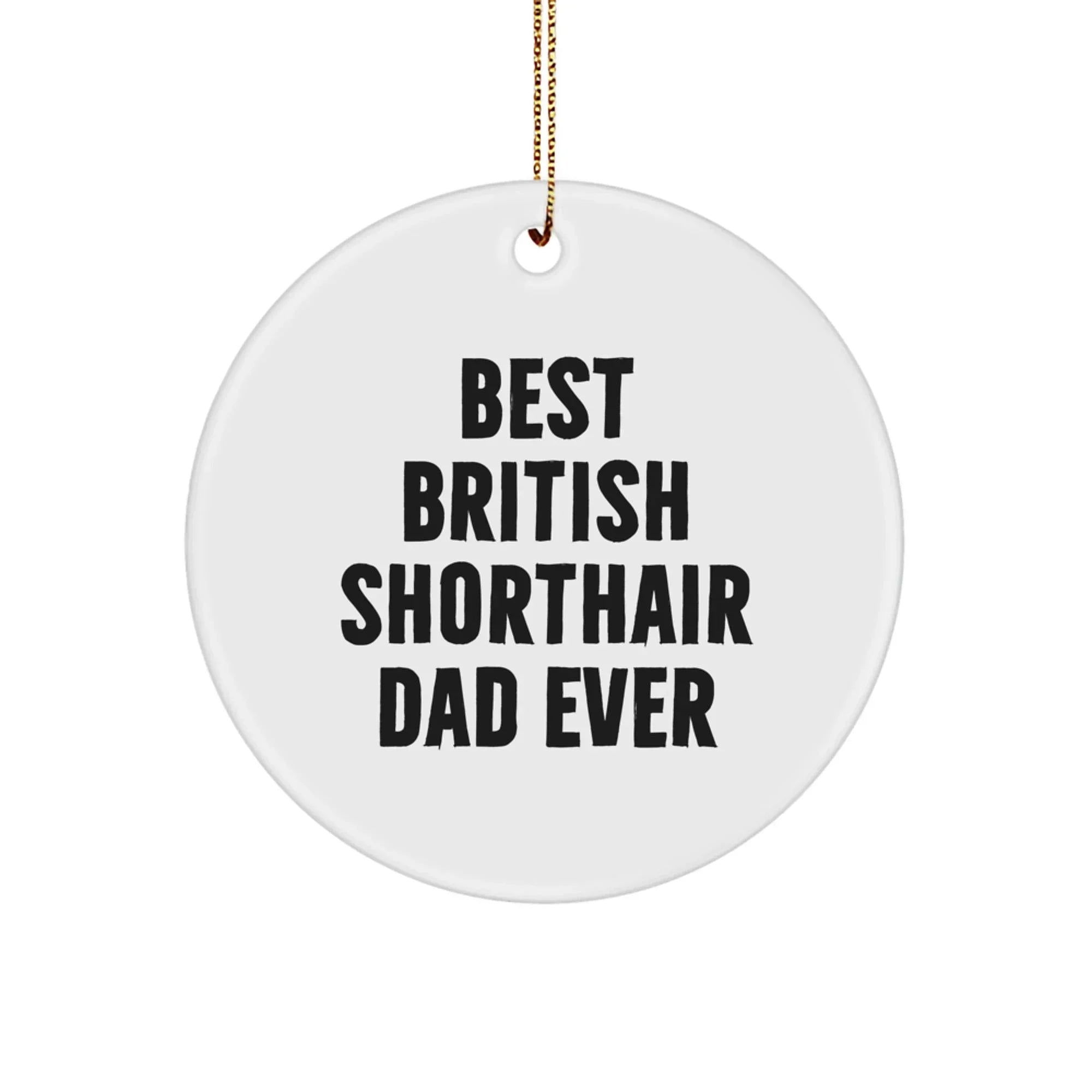 British Shorthair Cat Dad Gifts from Men for Best British Shorthair Cat Ever, Funny Circle Ornament for Christmas
