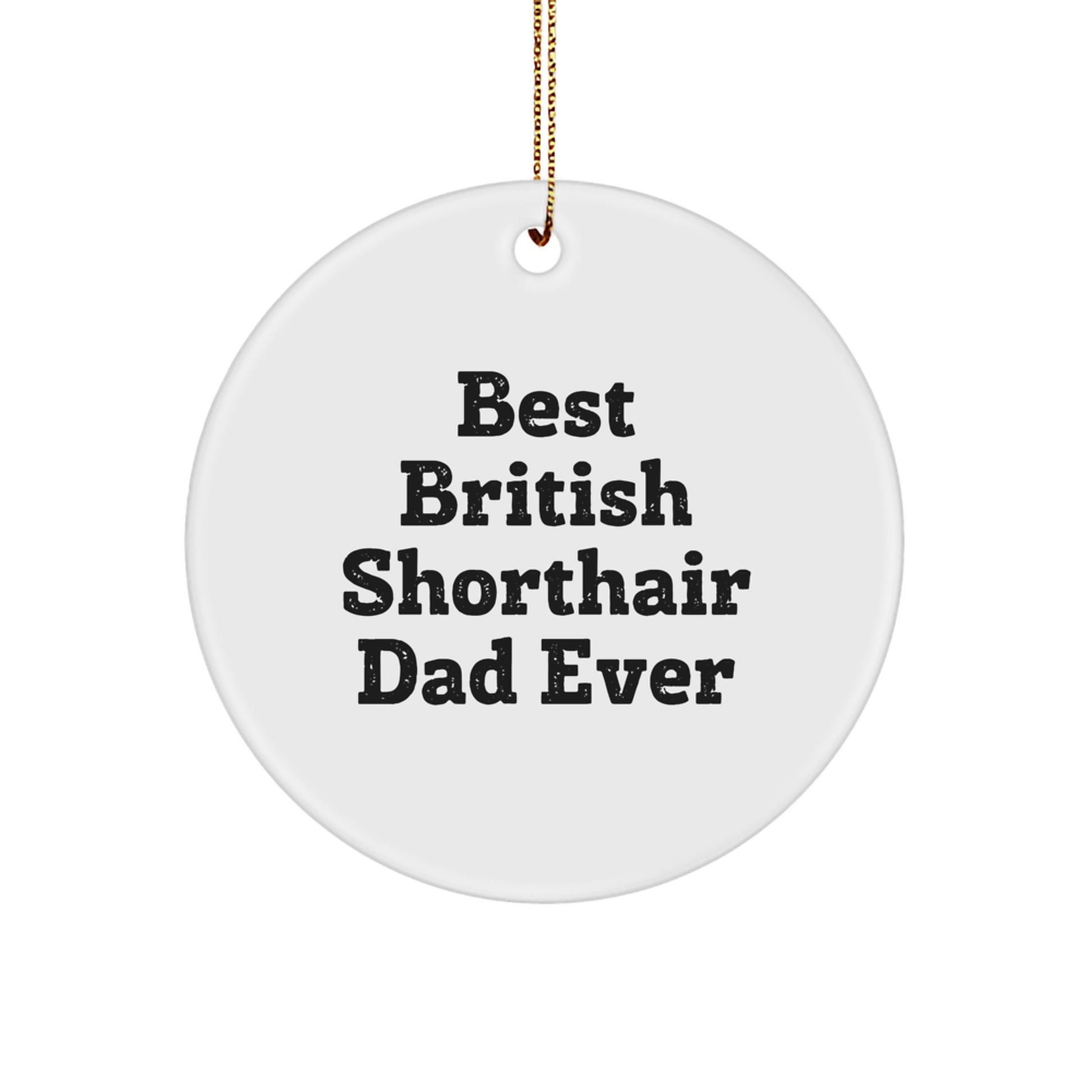 Funny British Shorthair Cat Dad Gifts from Friends for Circle Ornament, Best British Shorthair Cat Ever, Christmas Unique Gifts - Image 1