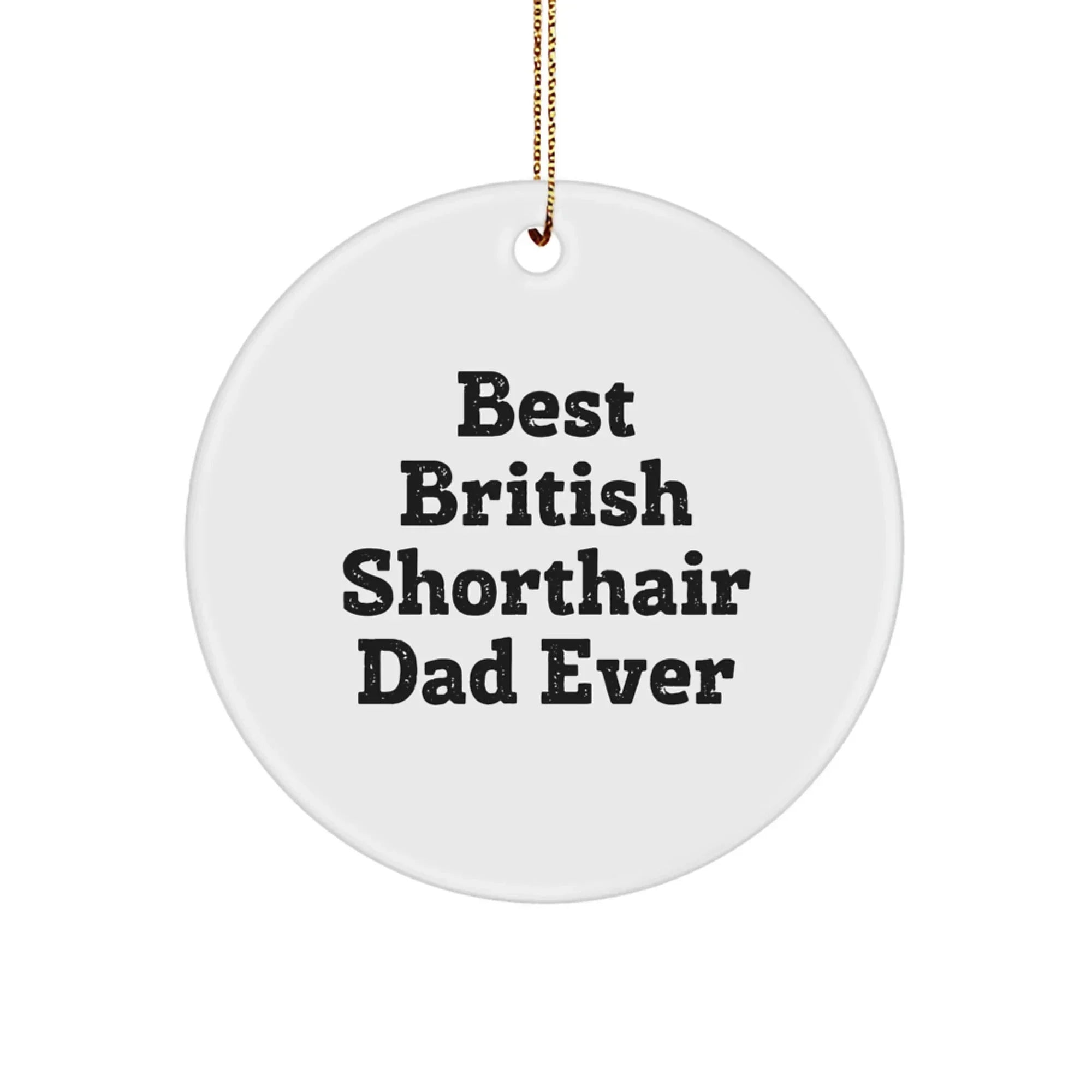Funny British Shorthair Cat Dad Gifts from Friends for Circle Ornament, Best British Shorthair Cat Ever, Christmas Unique Gifts