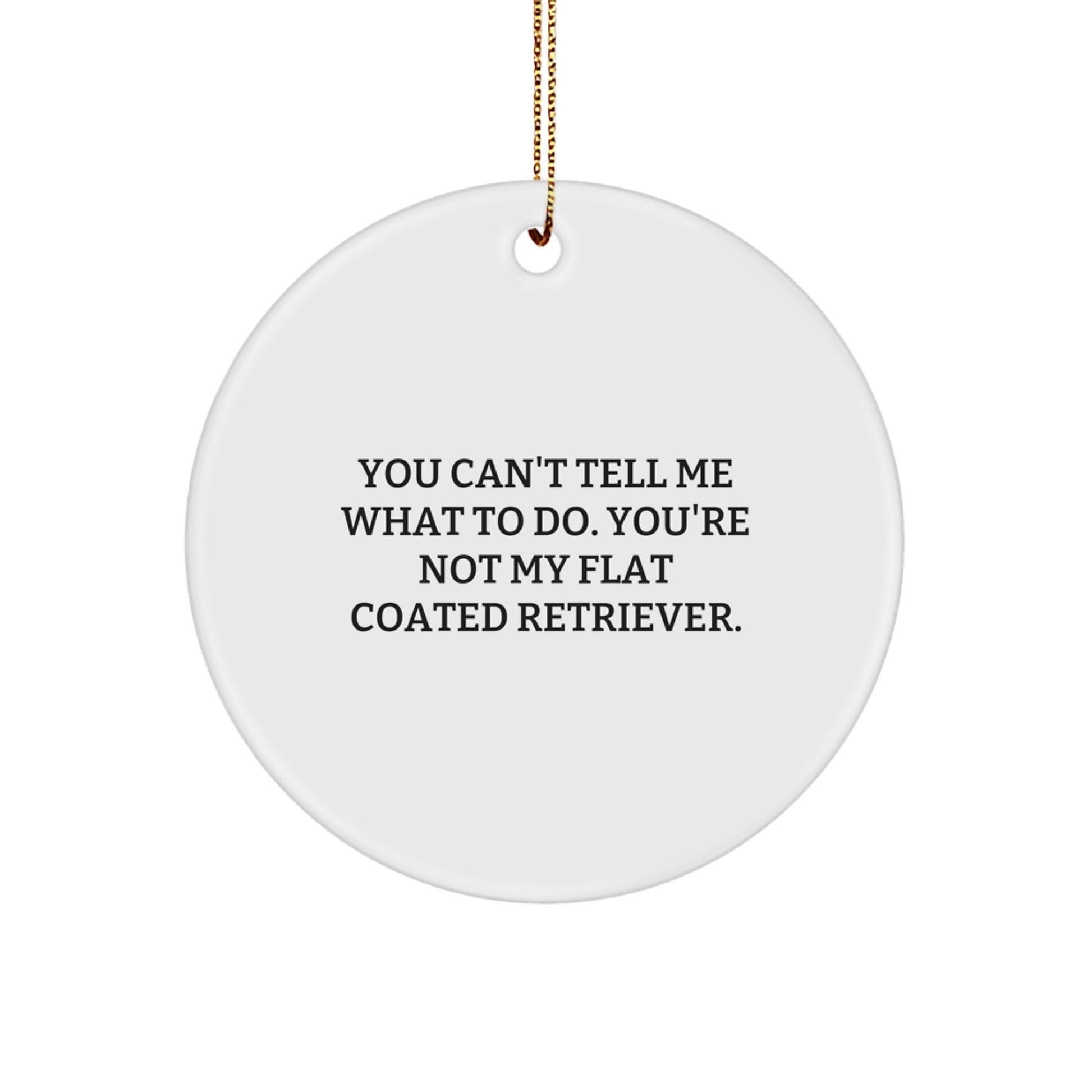 Funny Flat Coated Retriever Dog Gifts from Friends for Christmas, 'You Can't Tell Me What To Do' Circle Ornament
