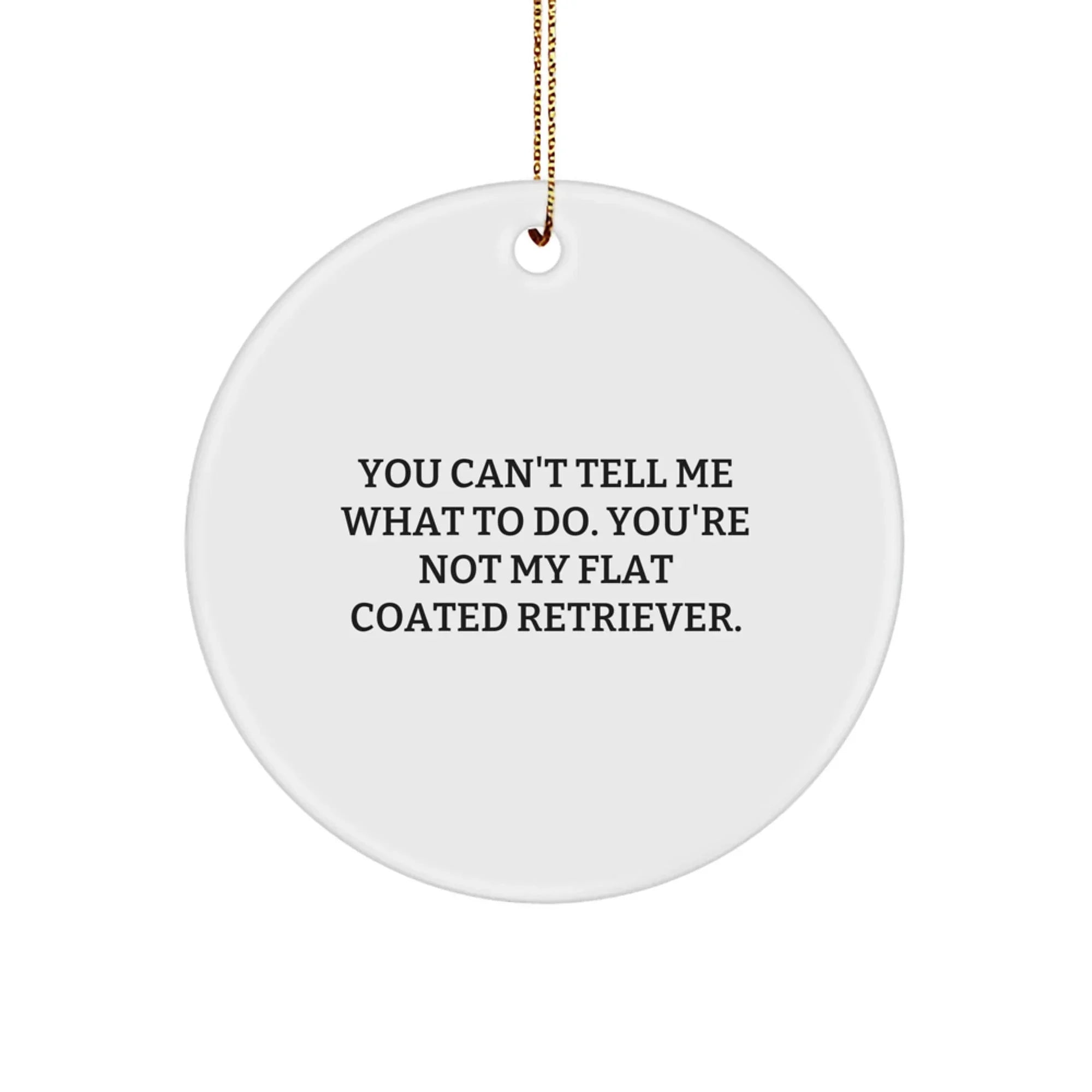 Funny Flat Coated Retriever Dog Gifts from Friends for Christmas, 'You Can't Tell Me What To Do' Circle Ornament
