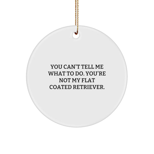 Funny Flat Coated Retriever Dog Gifts from Friends for Christmas, 'You Can't Tell Me What To Do' Circle Ornament