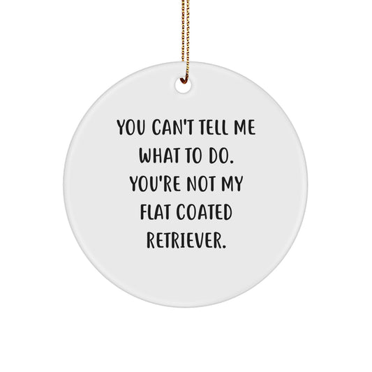 Funny Flat Coated Retriever Dog Gifts for Men, Women, Friends, and Family - Circle Ornament with Inspirational Quote, Perfect Christmas Unique Gifts from the Heart