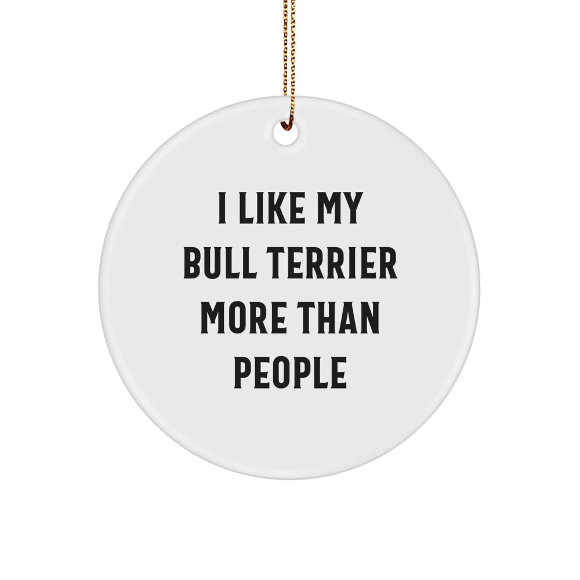 Funny Bull Terrier Dog Lover Gifts from Friends for Christmas Unique Decorations