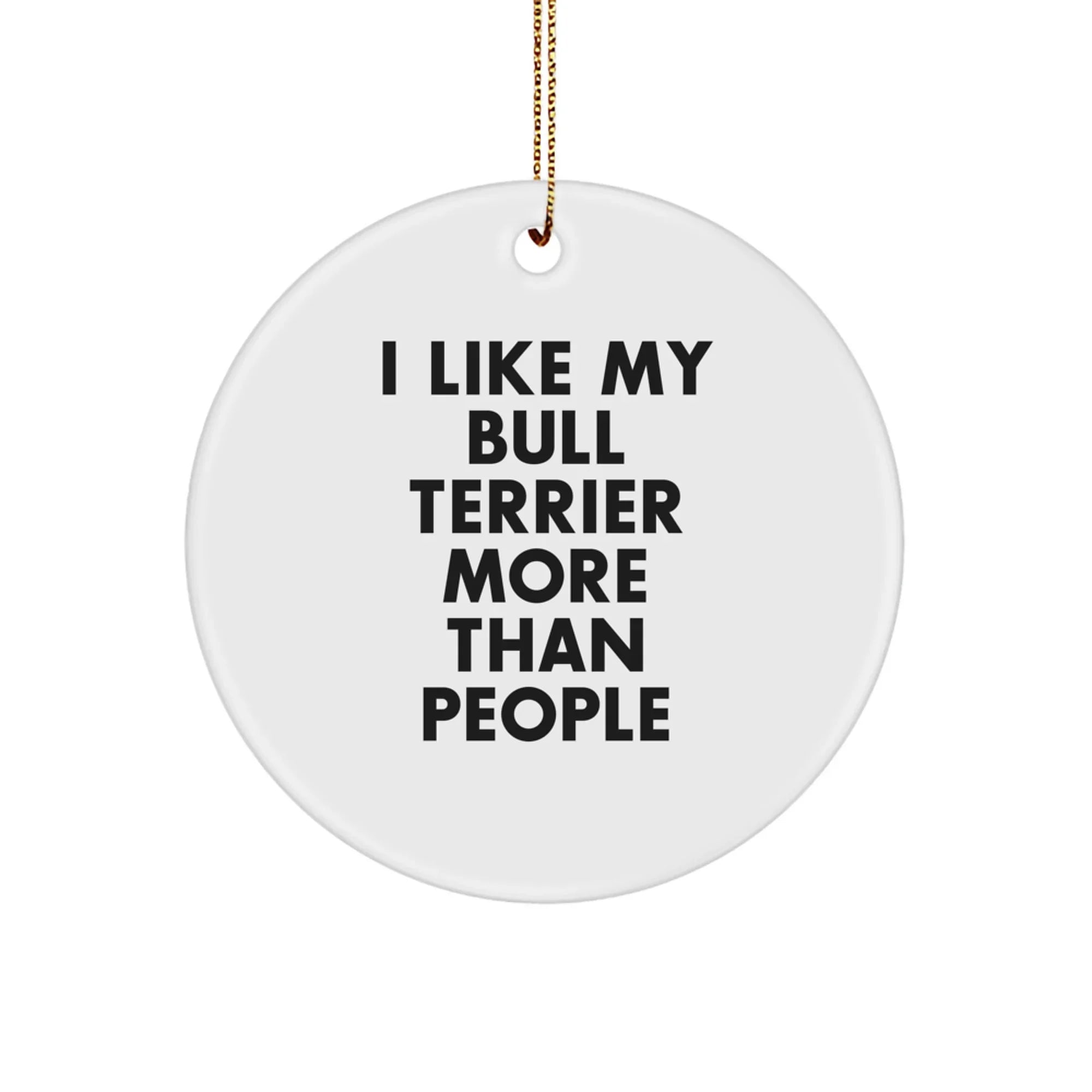 Funny Bull Terrier Dog Gifts from Family, Circle Ornament for Bull Terrier Dog, I Like My Bull Terrier More Than People Christmas Ornament