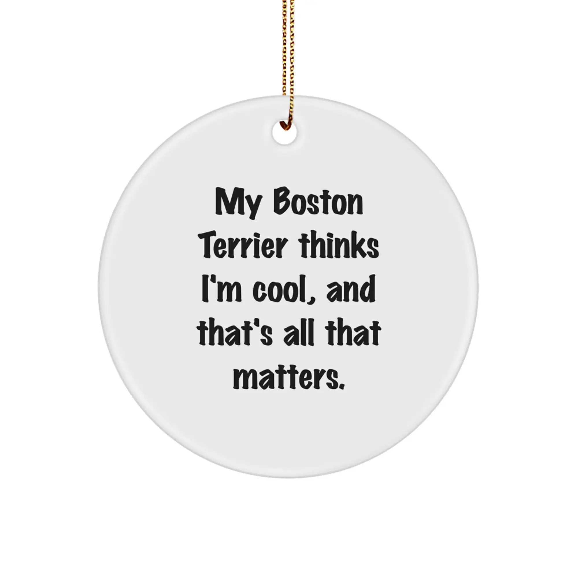 Funny Boston Terrier Dog Christmas Unique Gifts from Men to Family Members Circle Ornament, 'My Boston Terrier Thinks I'm Cool, And That's All That Matters' Quote - Image 1