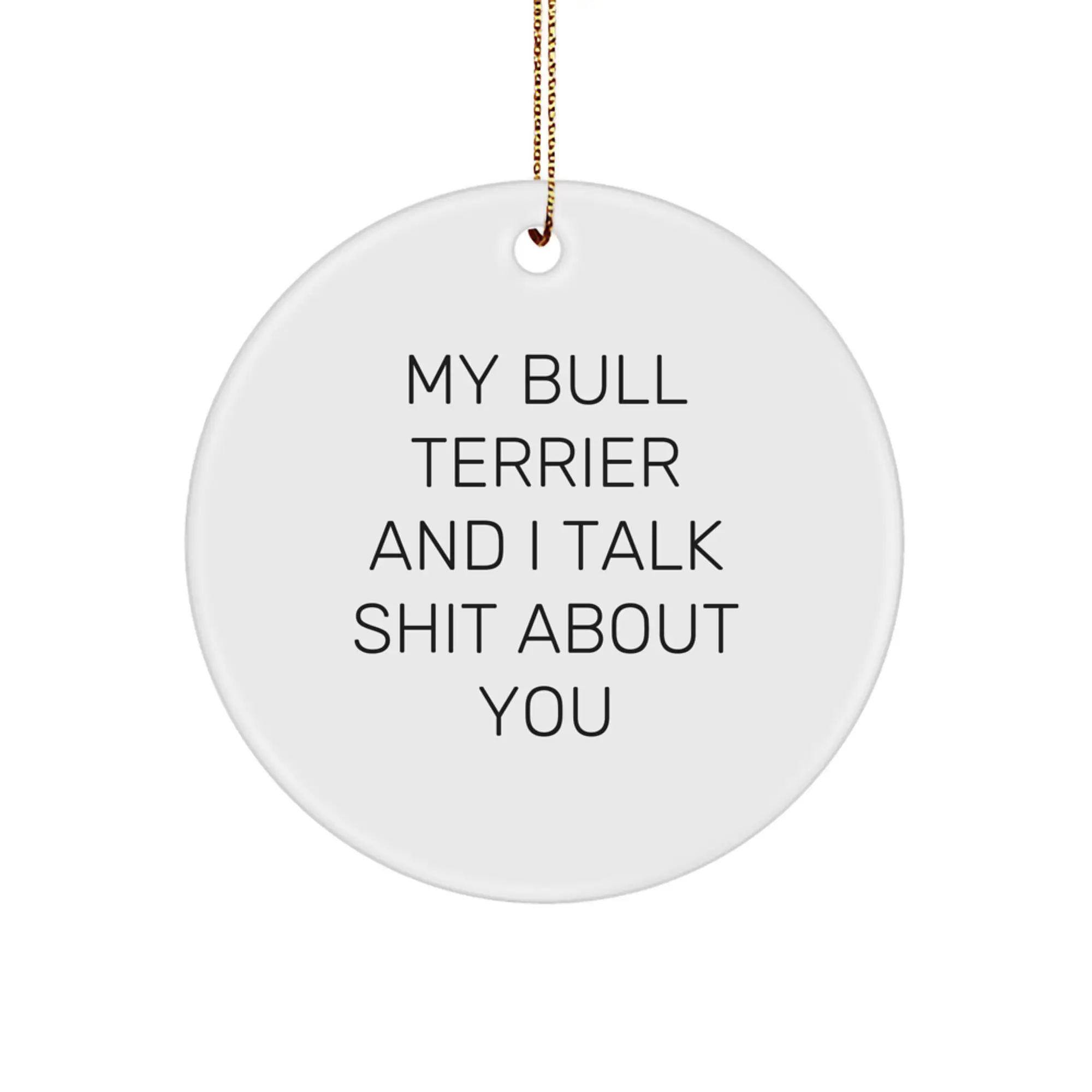 Funny Bull Terrier Dog Gifts for Men and Friends - My Bull Terrier And I Talk Shit About You Christmas Unique Gifts from Family - Image 1