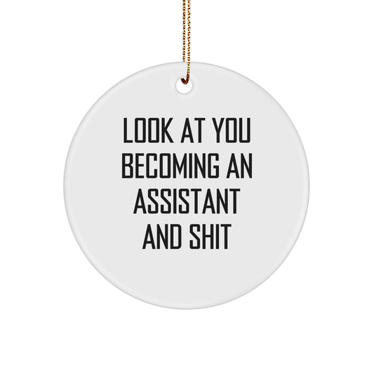 Funny Assistant Gifts for Friends and Family - Look At You Becoming An 'Assistant' And Shit Christmas Ornament - Image 1
