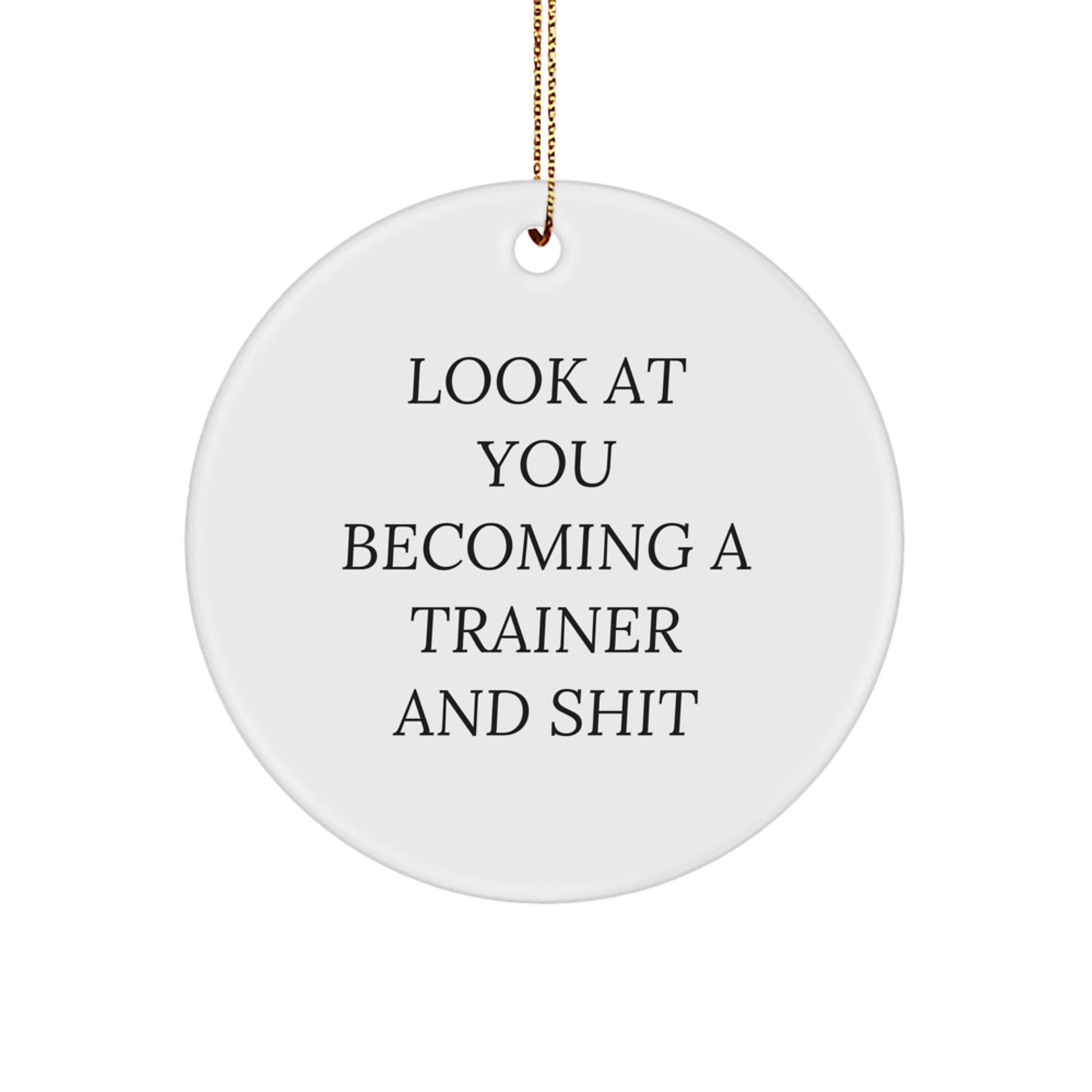 Funny Trainer Circle Ornament, Look At You Becoming A Trainer And Shit, Gifts from Friends for Trainers, Unique Christmas Unique Gifts for Men - Image 1