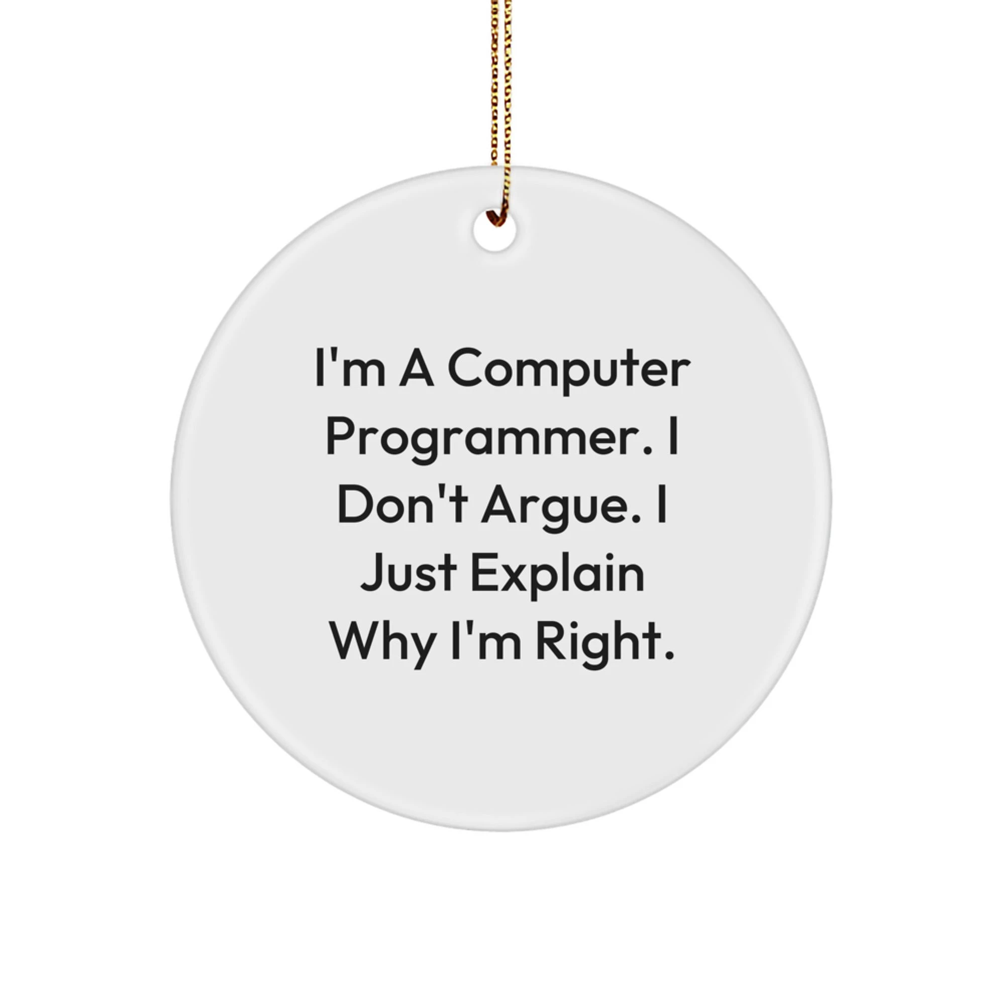 Funny Computer Programmer Gifts from Friends - 'I'm A Computer Programmer. I Don't Argue. I Just Explain Why I'm Right.' Christmas Unique Ornaments for Computer Programmer Men