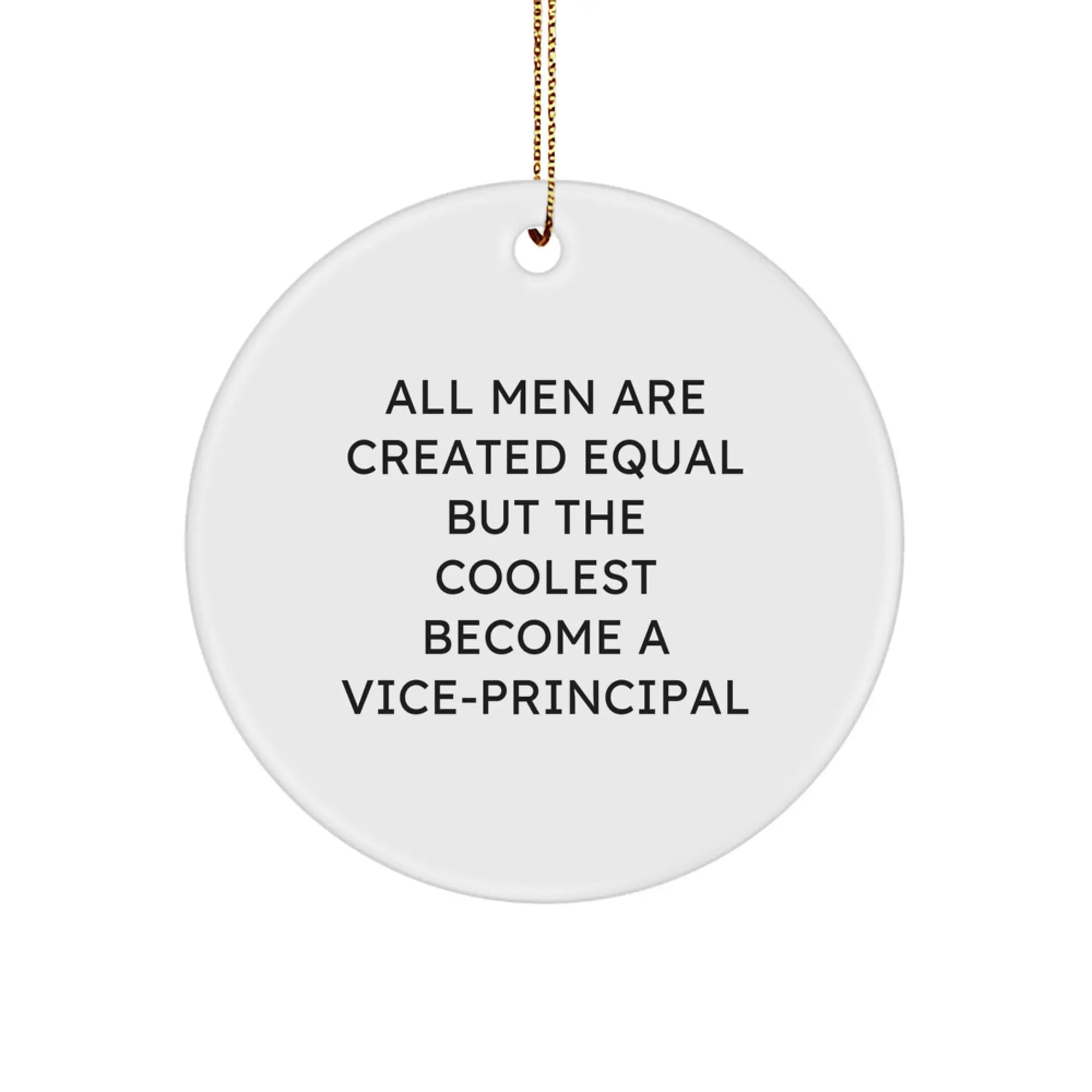 Vice-Principal Gifts for Men Unique Circle Ornaments Funny Quote Christmas Decorations Gifts from Friends for Vice-Principal Office - Image 1