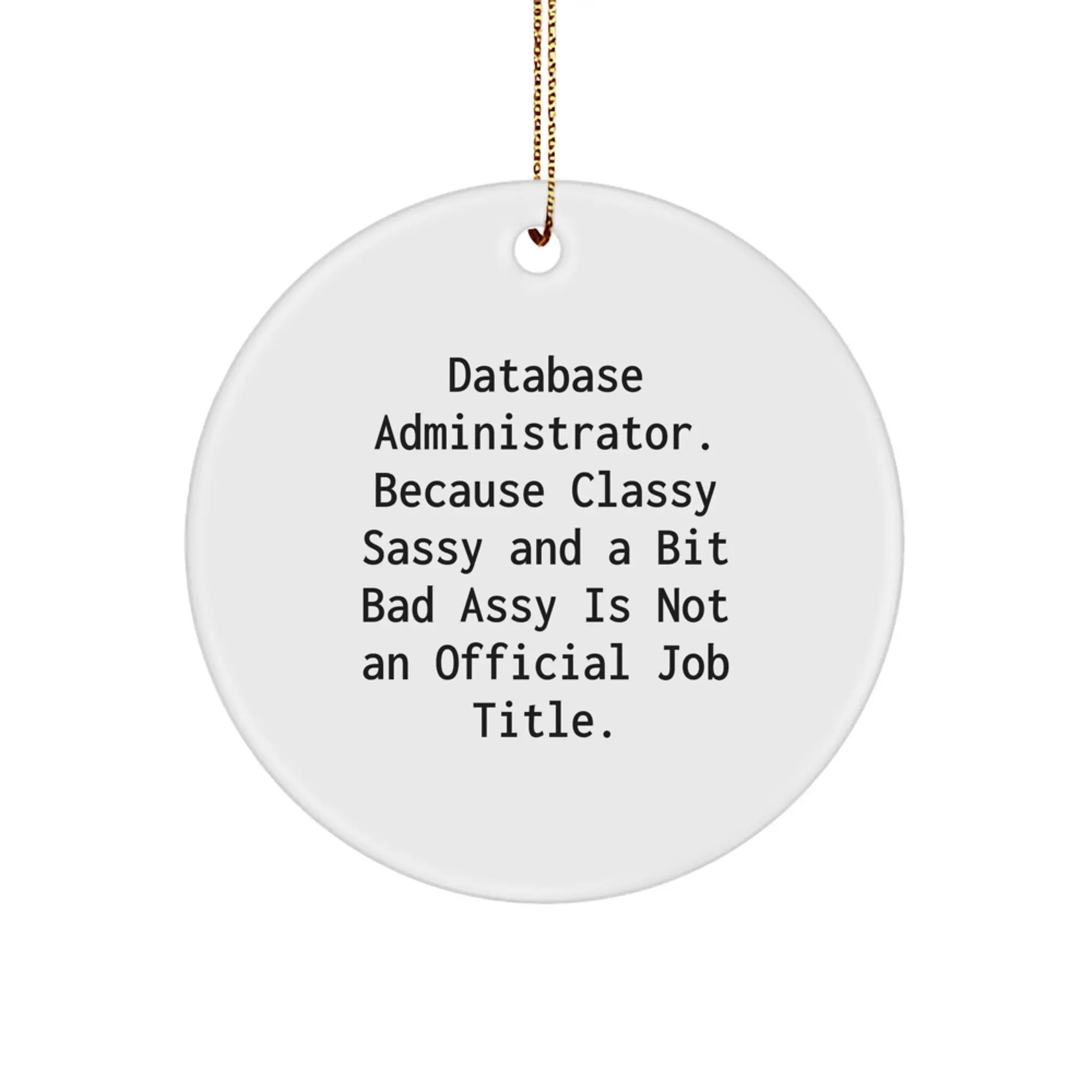 Funny Gifts for Database Administrator Men Christmas Circle Ornament from Coworkers - Image 1