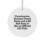 Funny Veterinarian Gifts, Circle Ornaments with Veterinarian Quote, Veterinarian. Because Classy Sassy And A Bit Bad Assy Is Not An Official Job Title.