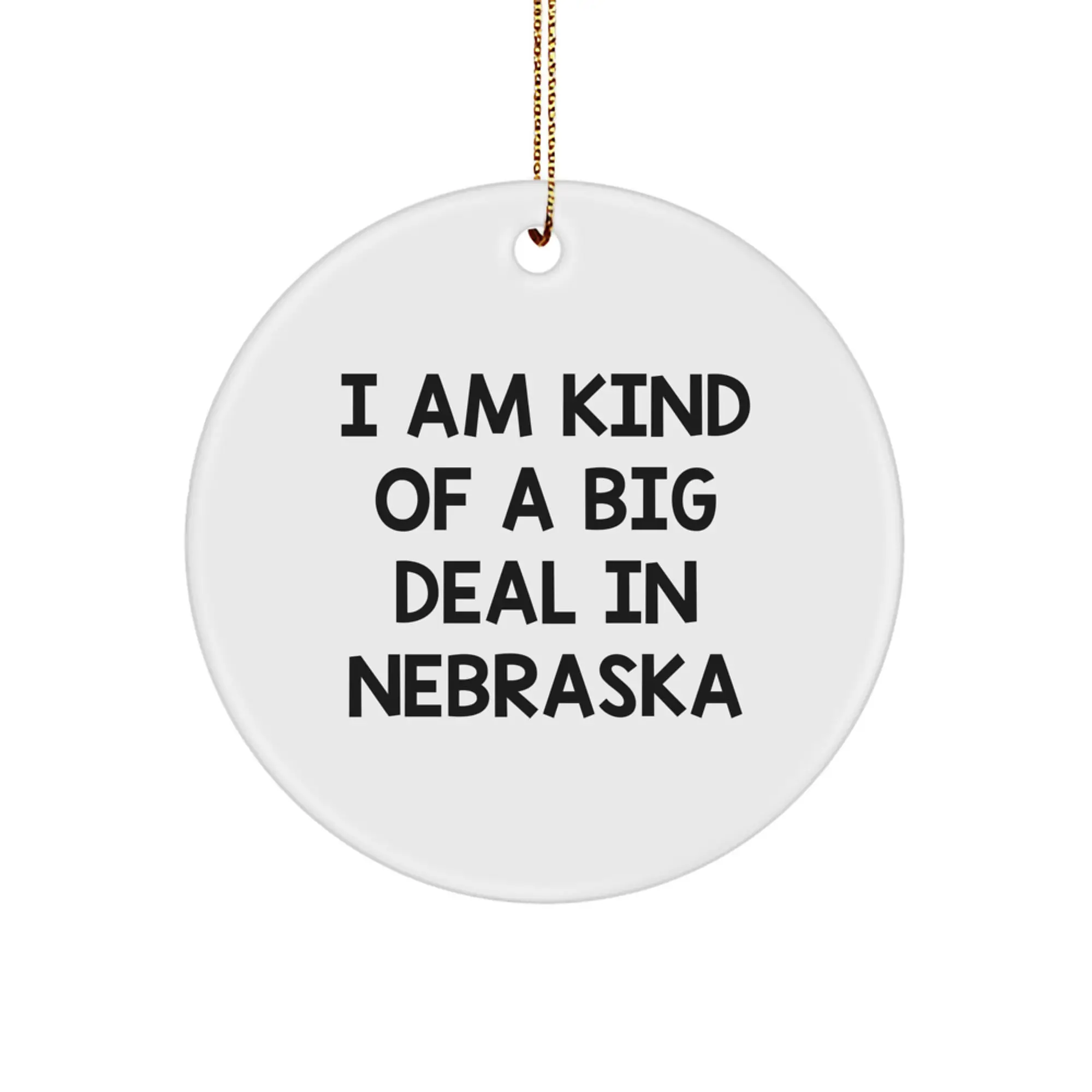 Funny Nebraska Circle Ornament I Am Kind Of A Prime Selection In Nebraska Gifts for Friends and Family Christmas Unique Gifts - Image 1