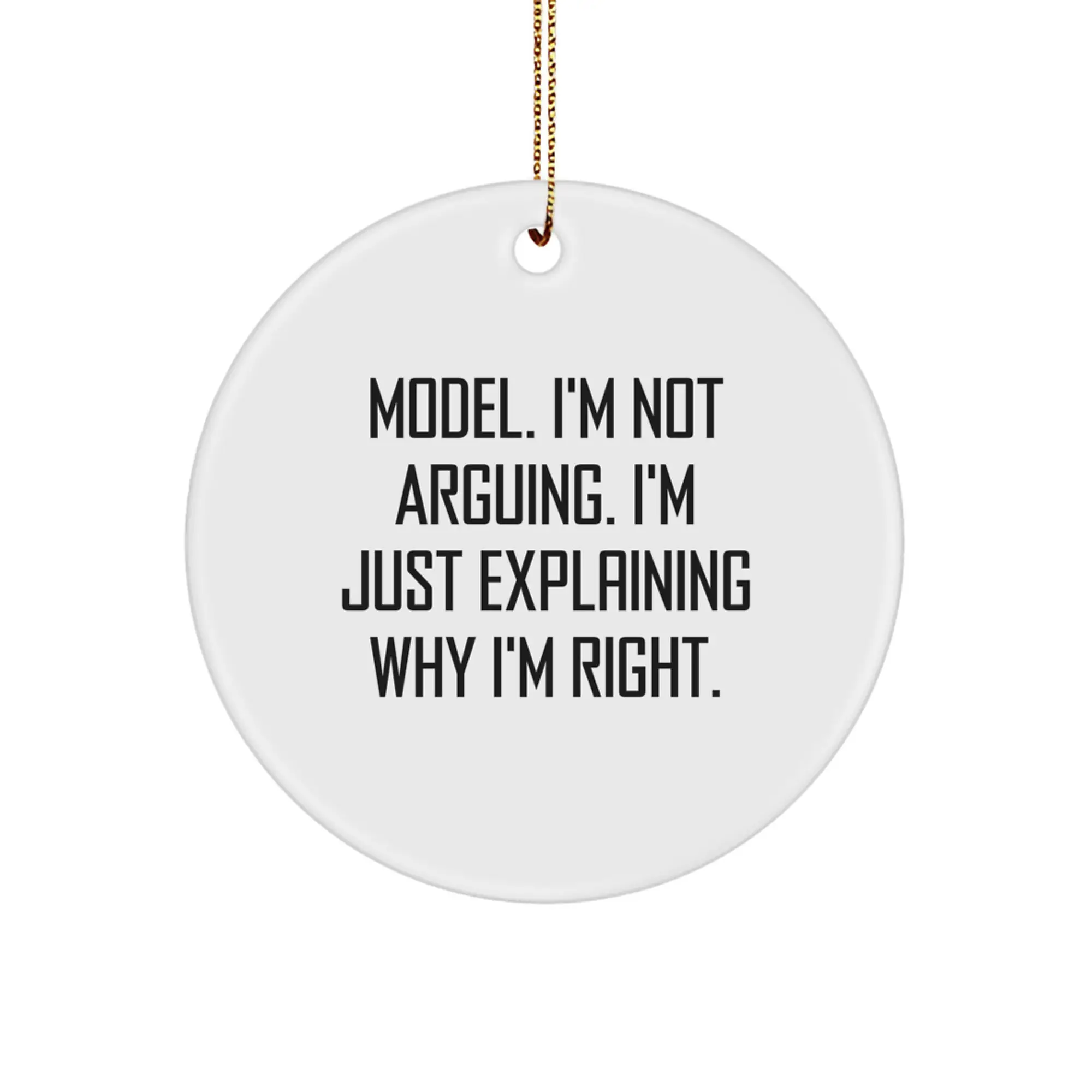 Funny Model Gifts, Christmas Unique Model Circle Ornament, 'I'm Not Arguing, I'm Just Explaining Why I'm Right' Decorations for Model Lovers, Gift from Friends, Coworkers, or Family - Image 1