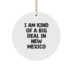 Unique New Mexico Gifts for Friends, Funny Quote Circle Ornament, Gifts from New Mexico, Christmas Unique Gifts - Image 1
