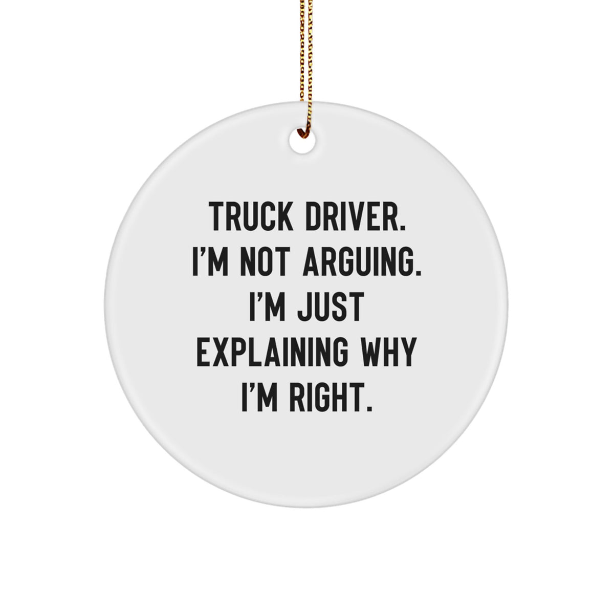 Funny Truck Driver Gifts from Friends for Christmas Unique Gifts - Image 1