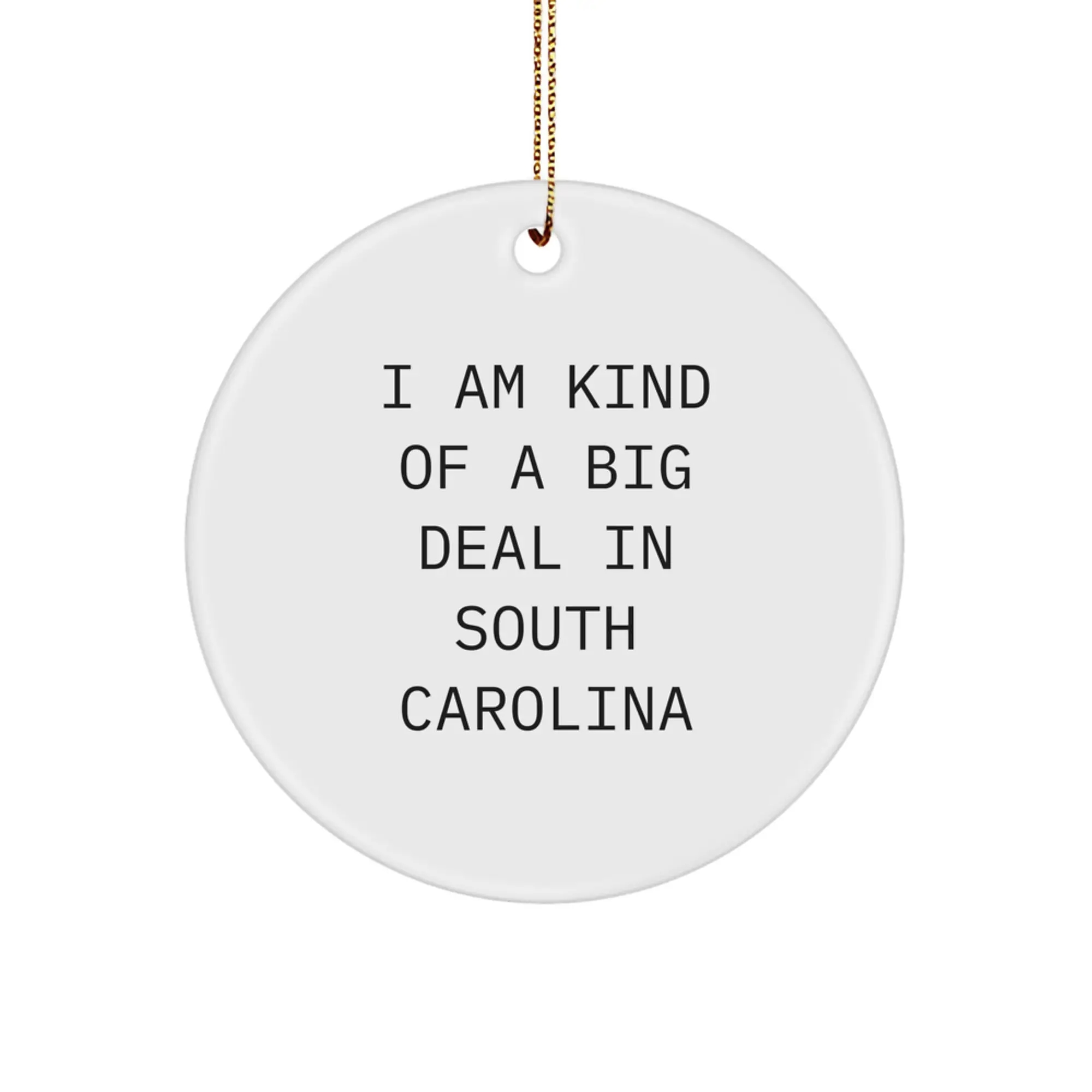 South Carolina Keepsake Holiday Surprise Christmas Ornament for Him Gift - Image 1