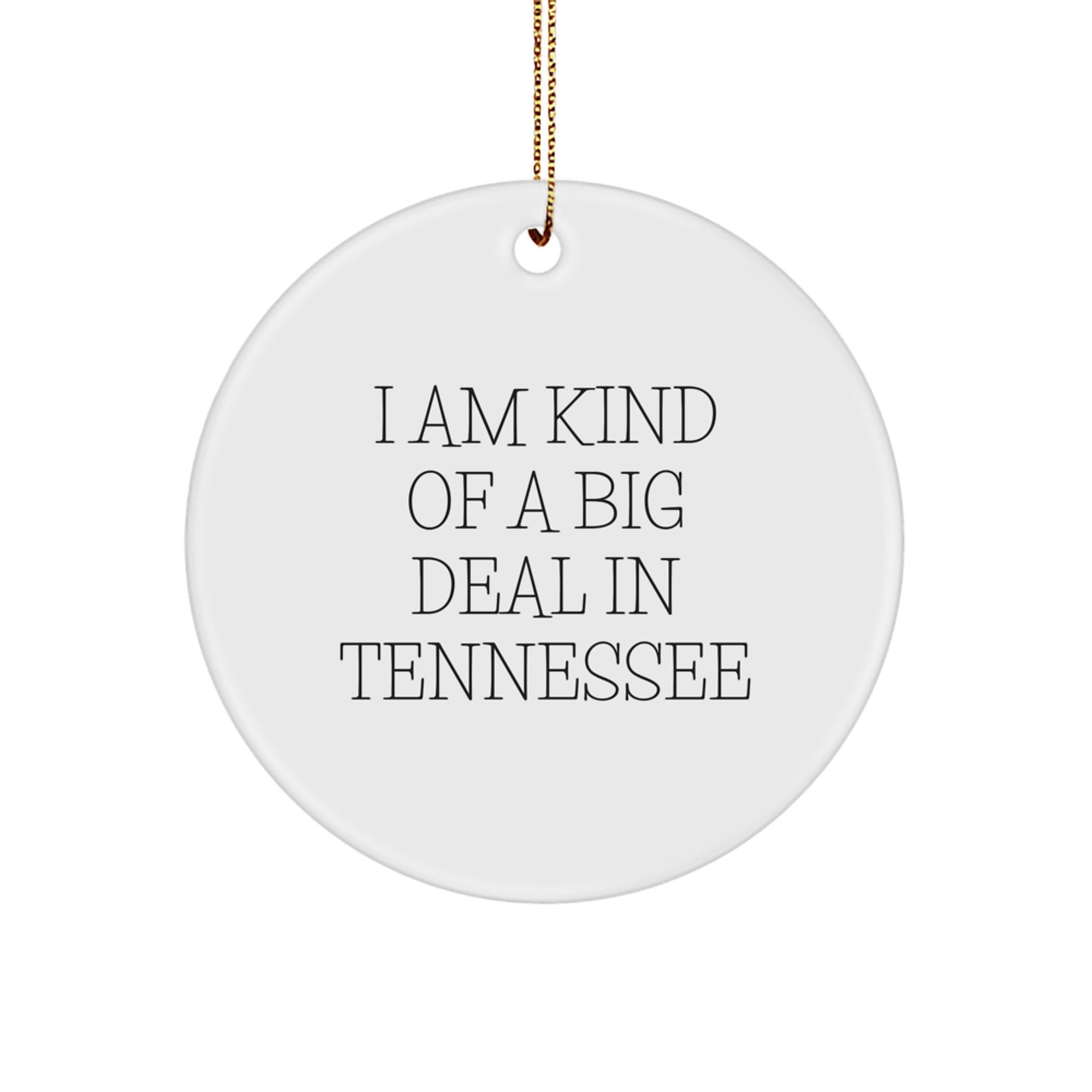 Tennessee Christmas Ornament Gift A Funny Affirmation for Kids - Image 1