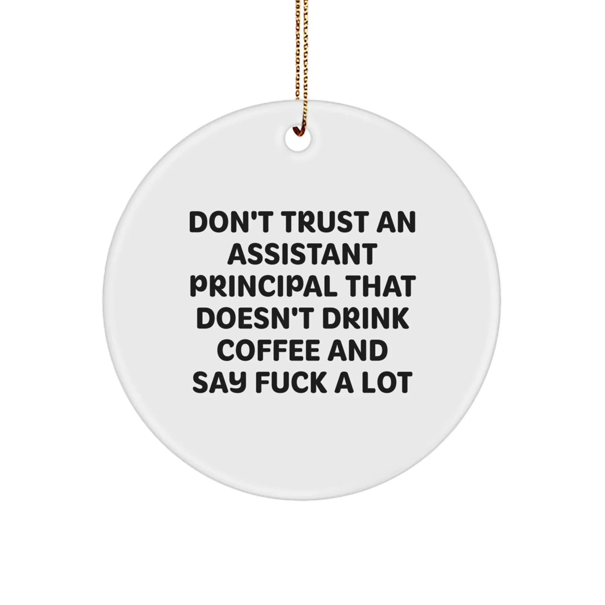 Funny Assistant Principal Gifts from Friends, Christmas Unique Ornament for Assistant Principals, Circle Shaped White