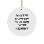 Funny Architect Gifts for Men, I Can't Fix Stupid But I'm A Fairly Decent Architect Christmas Unique Circle Ornament for Coworkers - Image 1