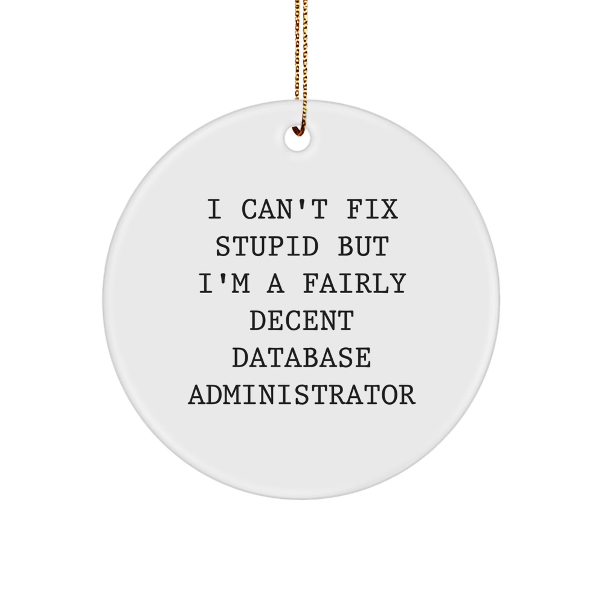 Funny Database Administrator Gifts for Men, 'I Can't Fix Stupid But I'm A Fairly Decent Database Administrator' Circle Ornament, Perfect Christmas Unique Gifts from Friends - Image 1