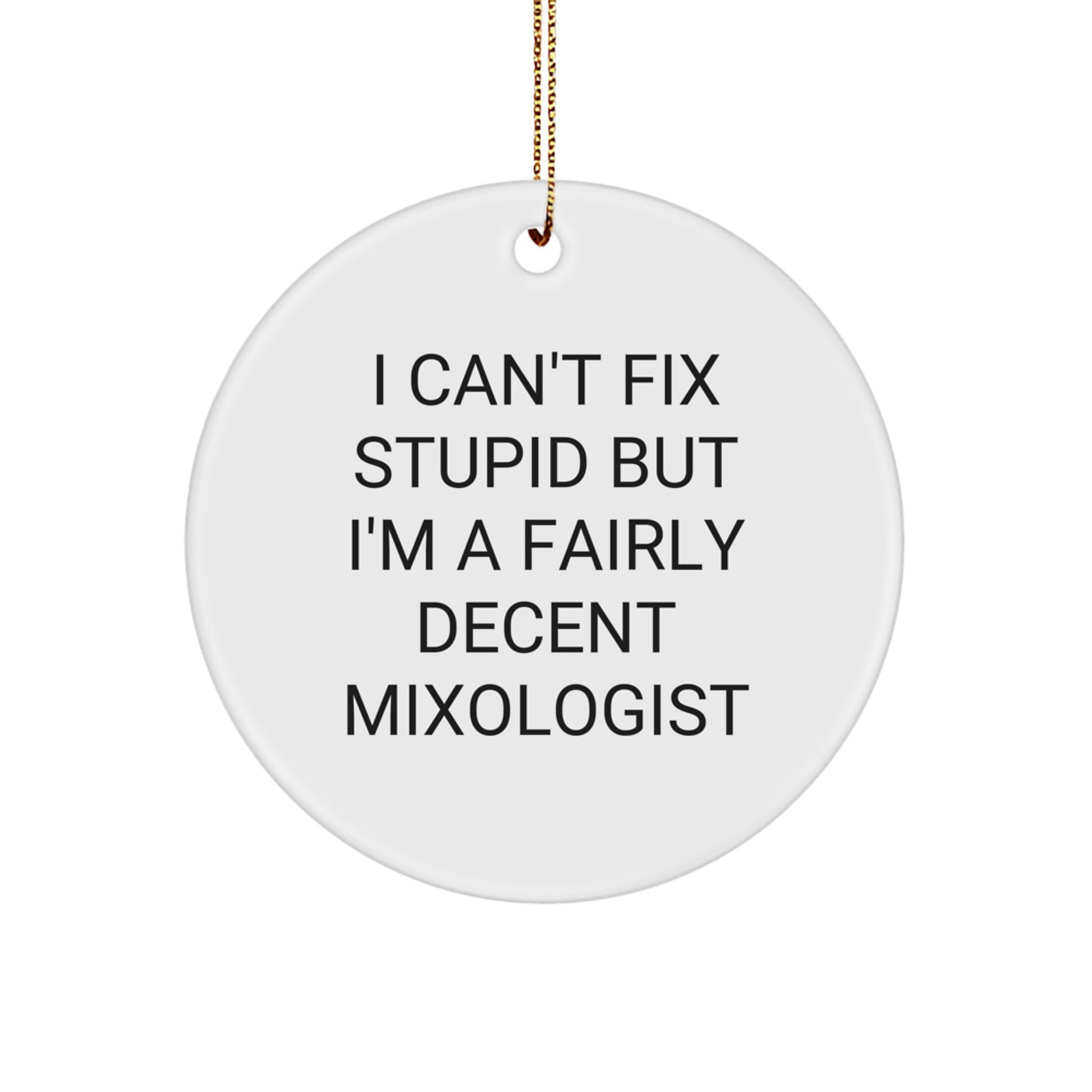 Funny Mixologist Gifts from Friends for Christmas - Circle Ornament - I'm A Fairly Decent Mixologist - Image 1