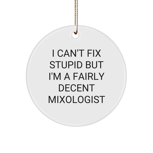 Funny Mixologist Gifts from Friends for Christmas - Circle Ornament - I'm A Fairly Decent Mixologist - Image 1