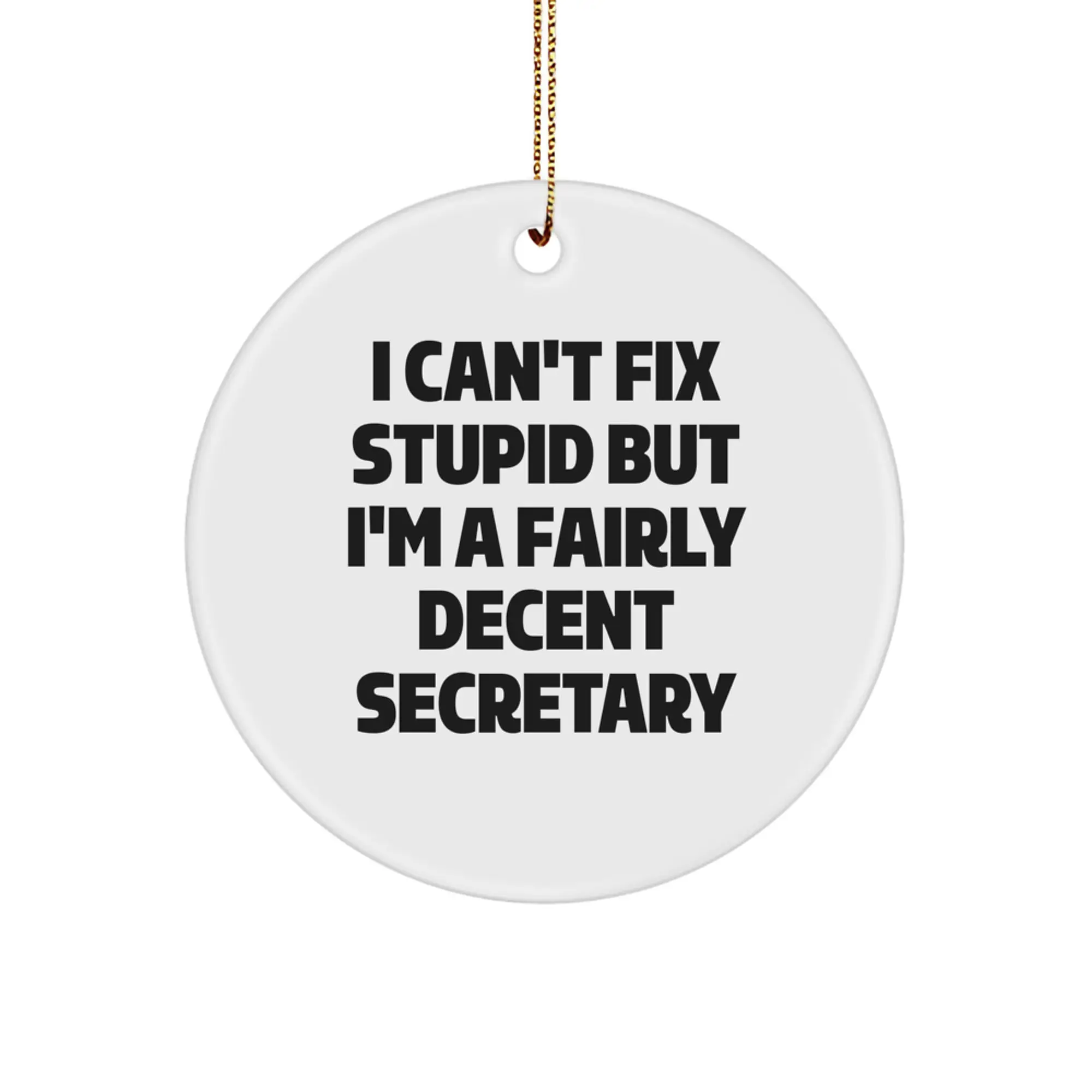 Funny Secretary Gifts from Men for Women - Secretary Circle Ornament I Can't Fix Stupid But I'm A Fairly Decent - Image 1