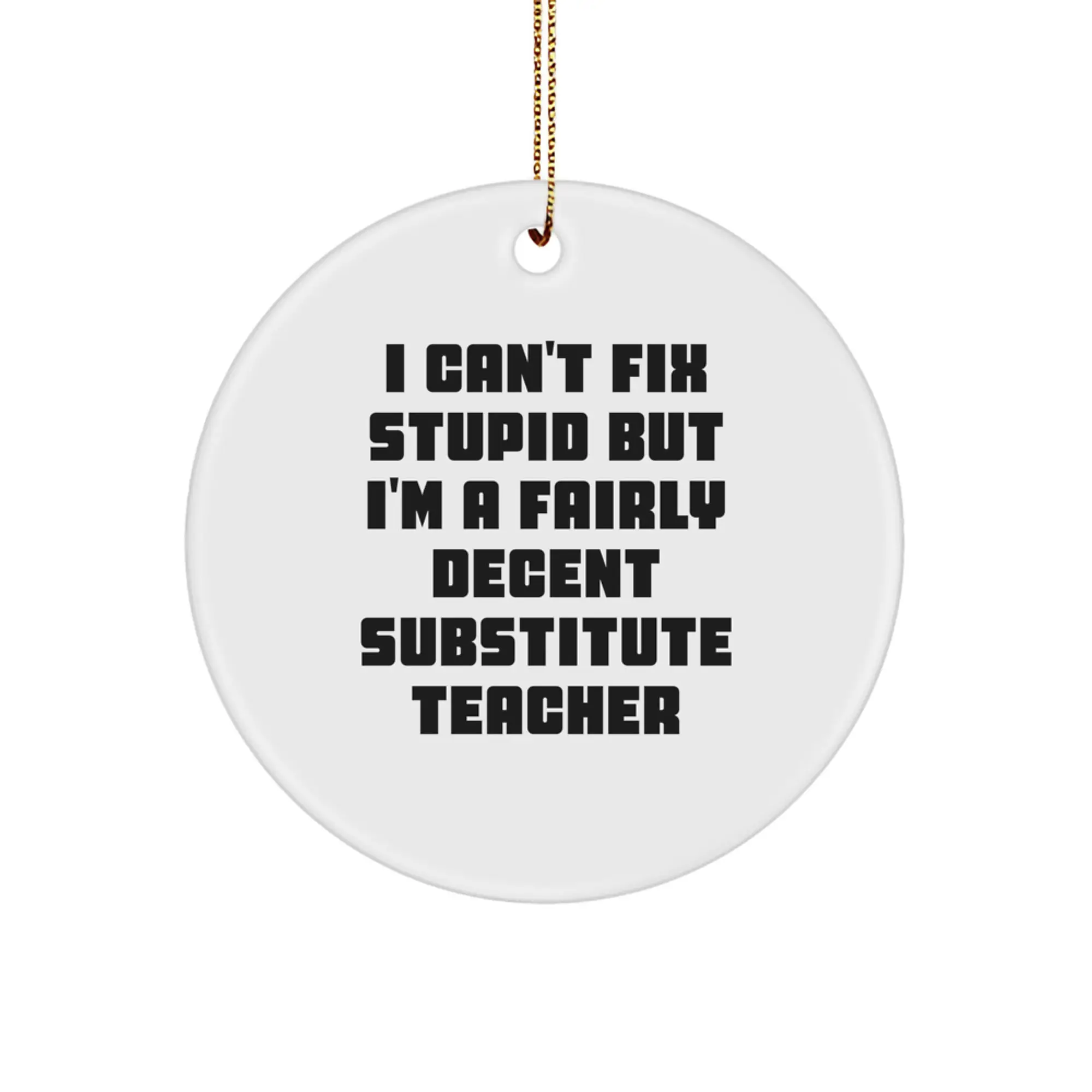 Funny Substitute Teacher Gifts for Men and Women from Coworkers, Friends and Family - I Can't Fix Stupid But I'm A Fairly Decent Substitute Teacher Christmas Unique Ornaments - Image 1