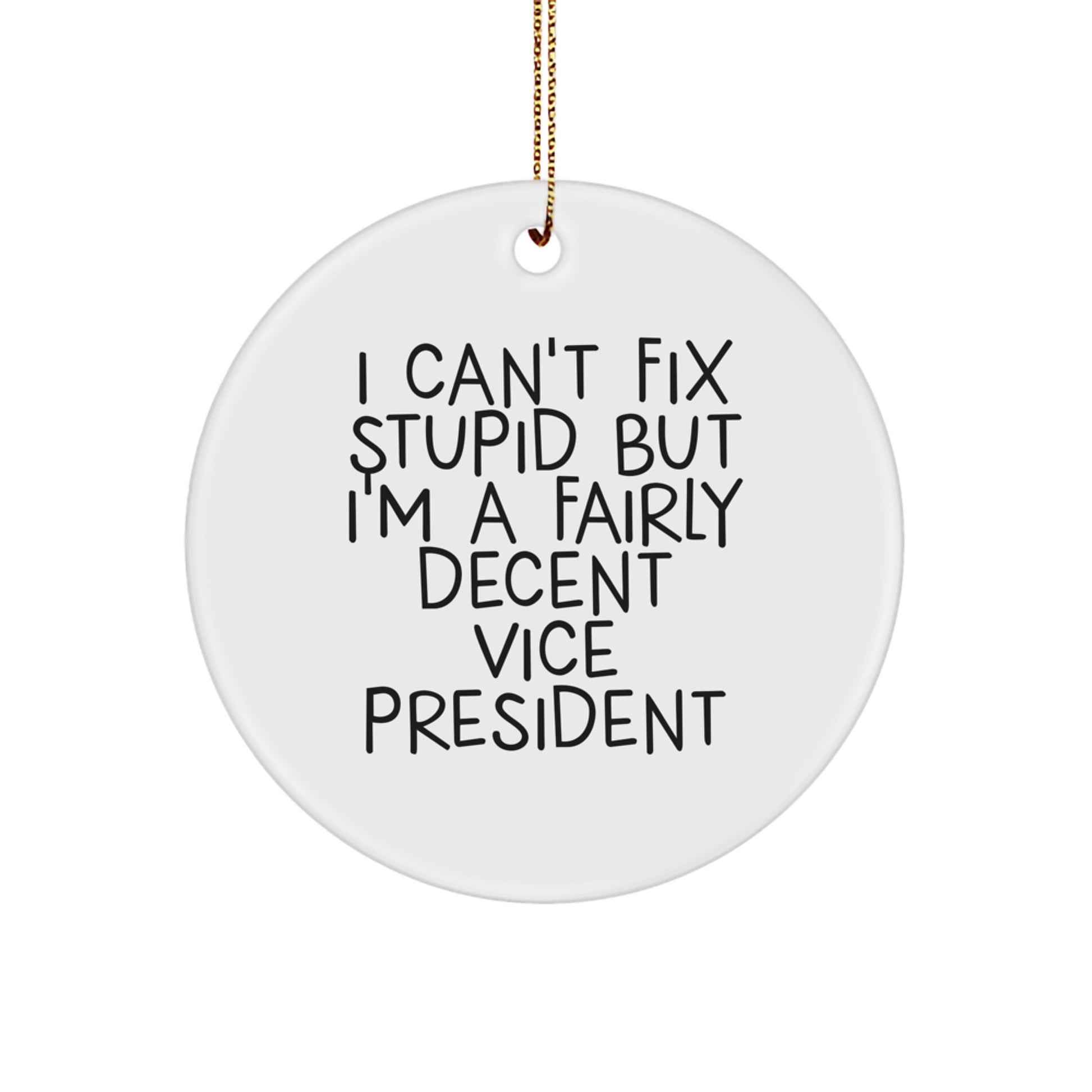Funny Vice President Circle Ornament Gifts from Friends for Men, Unique Christmas Office Decorations with Inspirational Quote 'I Can't Fix Stupid But I'm A Fairly Decent Vice President' - Image 1