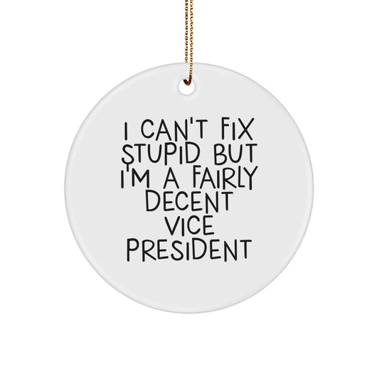Funny Vice President Circle Ornament Gifts from Friends for Men, Unique Christmas Office Decorations with Inspirational Quote 'I Can't Fix Stupid But I'm A Fairly Decent Vice President' - Image 1