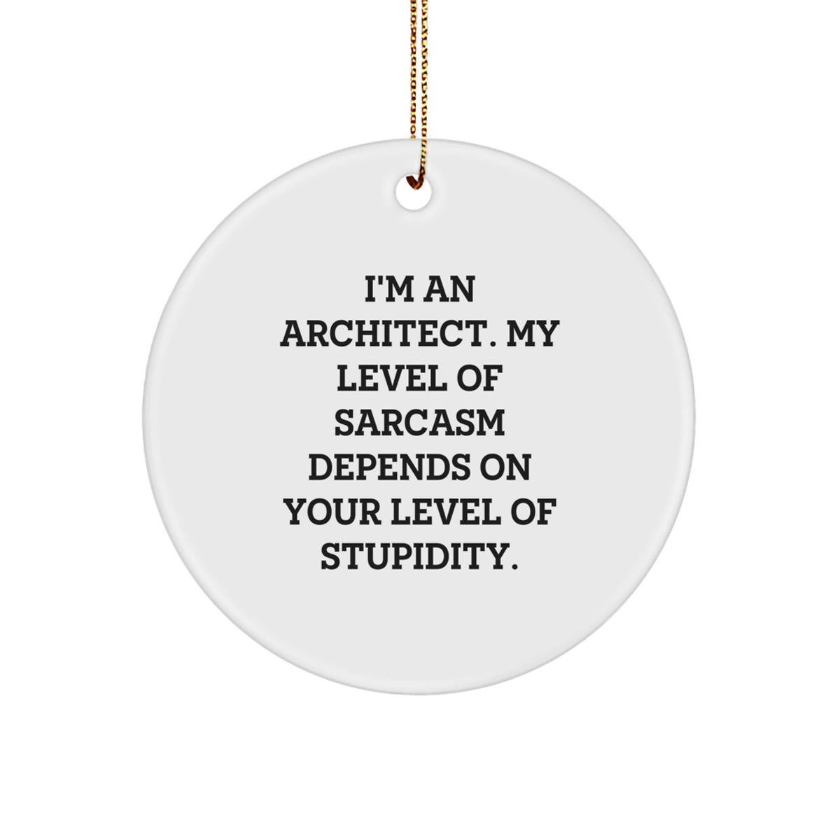 Sarcastic Architect Circle Christmas Ornament Novelty Gift for Friends - Image 1