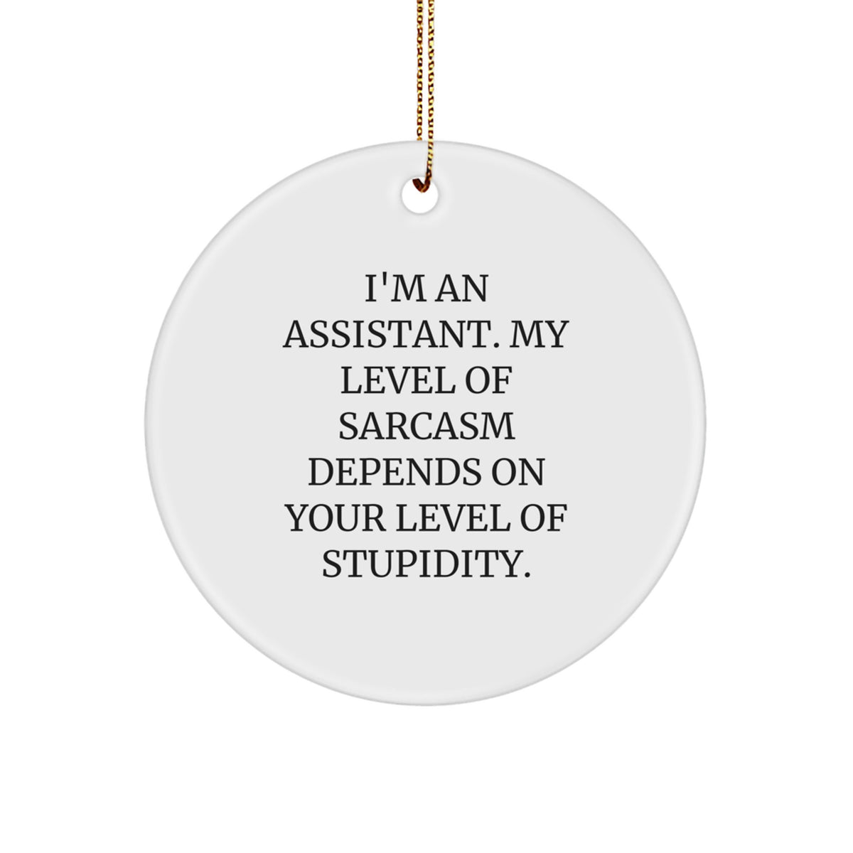 Assistant Keepsake Bright Holiday Christmas Ornament for Him Gift - Image 1